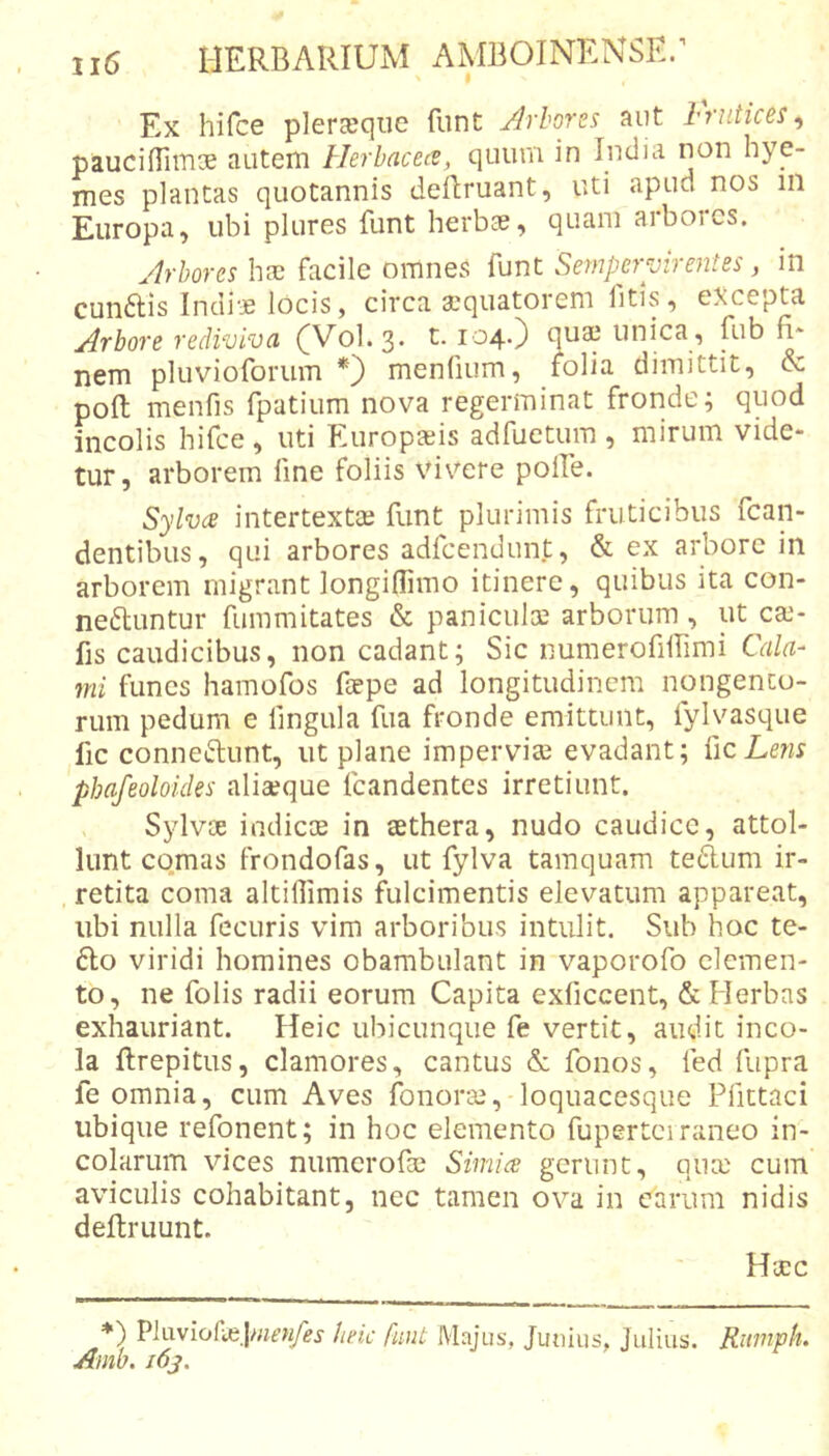 Ex hifcc plercecjiie fiint Arhoves Jiut htuticcs^ paucifilinx autem Herbacea, quum in India non hye- mes plantas quotannis dellruant, uti apud nos in Europa, ubi plures funt herbae, quam arbores. Arbores ha) facile omnes funt Sempervirentes , in cunais Indiae locis, circa a^quatorem fitis, excepta Arbore rediviva (^Vol.3- 1.104.} qua3 unica, Rib fi* nem pluvioforum *) menliiim, folia dimittit, &amp; poft menfis fpatium nova regerminat fronde; quod incolis hifce, uti Europaeis adfuetum , mirum vide- tur , arborem fine foliis vivere polle. Sylva intertextaj funt plurimis fruticibus fcan- dentibus, qui arbores adfcendunt, &amp; ex arbore in arborem migrant longiflimo itinere, quibus ita con- ne^luntur fummitates &amp; paniculae arborum , ut cai- fis caudicibus, non cadant; Sic numerofilfimi Cala- mi funes hamofos faepe ad longitudinem nongento- rum pedum e lingula fua fronde emittunt, fylyasque fic conneftunt, ut plane imperviae evadant; {jcLens pbafeoloides aliaeque fcandentes irretiunt. Sylvoe indicae in aethera, nudo caudice, attol- lunt co,mas frondofas, ut fylva tamquam tedum ir- , retita coma altillimis fulcimentis elevatum appareat, ubi nulla fccuris vim arboribus intulit. Sub hoc te- 6I0 viridi homines obambulant in vaporofo elemen- to, ne folis radii eorum Capita exficcent, &amp; Herbas exhauriant. Heic ubicunque fe vertit, audit inco- la ftrepitus, clamores, cantus &amp; fonos, led fupra fe omnia, cum Aves fonorai, loquacesque Pfittaci ubique refonent; in hoc elemento fupertei ranco in- colarum vices numerofte Simia gerunt, qux cum aviculis cohabitant, nec tamen ova in carum nidis deftruunt. Ha:c *) PlLxviofajjw^wAj- beic funt Majus, Juuius, Julius. Riimph. Amb. i6j.