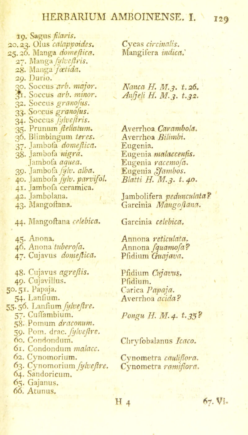 13 &gt;3 129 19. filaris. 0.23. Olus calappoides. 5.26. IVIangd (iomeflica. 27. ^Xm^wfylvcjhis. 28. Mangu yofr/tm. 29. Dufio. 30. Soccus arb. major. Soccus arb. minor. 32. Soccus granofus. 33. Soccus granofus. 34. Soccus fylvejtris. 35. Prunum flemtum. 36. Blimbingum teres. 37. Jambola doniejika. 38. Jambofa nigra. Jambola aquea. 39. Jambo(i\_/]//i'. alba. 40. Jambofa fytv. parvifol, 41. Jambofa ceramica. 42. Jambolana. 43. Mangollana. 44. Mangollana celebica. 45. Anona. 46. Anona tiiberofa. 47. Ciijavus domejlica. 48- Cujavus agrejlis. 49. Cujavillus. 50.51. Papaja. 54. Lanfinm. 55.56. Lanfiumy^/u^^r^. 57. CulVambium. 58- Pomum draconum. 59. Pom. dvnc. fylvejlre. 60. Conrlondum. 61. Condondiim malace. 62. Cynomorium. 63. Cynomorium fylvejlre. 64. Sandoricum. 65. Gajanus. 66. Atunus, Cycas circinalis. Mangifera indica,' Nanca H, M.3. t. 26, Anfjeli H. M.3. t.32. Averrhoa Carambola, Averrhoa Bilimbi. Eugenia. Eugenia malaccenfis. Eugenia racemofd. Eugenia ffambos. Blatti H. M.3. t. 40. Jambolifera pedunculata^ Garcinia Mangojiana. Garcinia celebica, Annona reticulata. Annona fqiiamofa? Pfidium Giiajava. Plldium Cujavus. Pfidium. Carica Papaja. Averrhoa acida? Pongu H. M.y-. t.35? Chryfobalanns Icnco. Cynomelra cauliflora. Cynometra ramiflora.