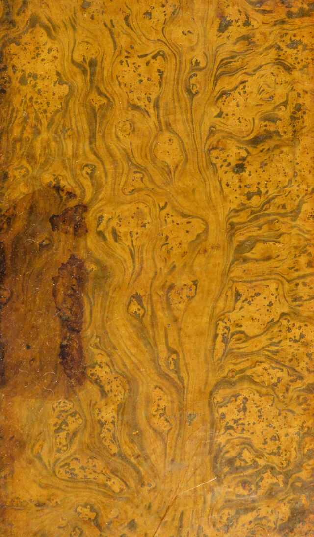 digitised image 1