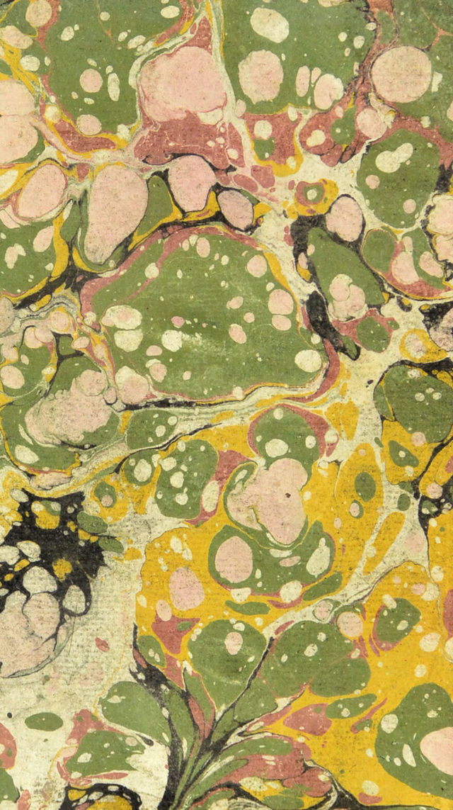 No text description is available for this image