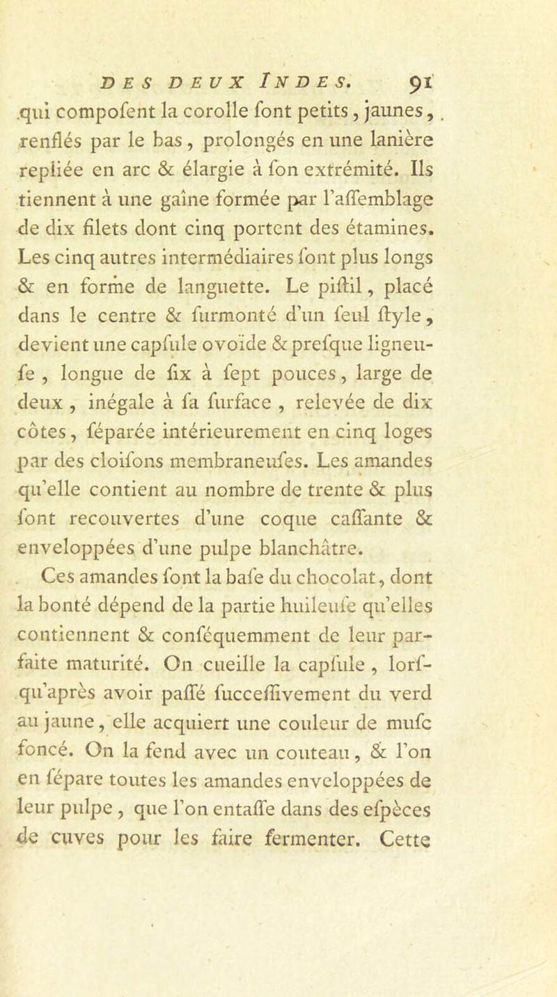 .qui compofent la corolle font petits , jaunes, renflés par le bas, prolongés en une lanière repliée en arc &amp; élargie à fon extrémité. Ils tiennent à une gaine formée par l’affemblage de dix filets dont cinq portent des étamines. Les cinq autres intermédiaires font plus longs &amp; en forme de languette. Le piflil, placé dans le centre &amp; furmonté d’un feul ftyle, devient une capfule ovoïde &amp; prefque ligneu- fe , longue de fix à fept pouces, large de deux , inégale à fa furface , relevée de dix côtes, féparée intérieurement en cinq loges par des cloil'ons membraneufes. Les amandes qu’elle contient au nombre de trente &amp; plus font recouvertes d’une coque caflante &amp; enveloppées d’une pulpe blanchâtre. Ces amandes font la bafe du chocolat, dont la bonté dépend de la partie huileufe qu’elles contiennent &amp; conféquemment de leur par- faite maturité. On cueille la capfule , lorf- qu’après avoir pâlie fucceflïvement du verd au jaune, elle acquiert une couleur de mufe foncé. On la fend avec un couteau, &amp; l’on en fépare toutes les amandes enveloppées de leur pulpe , que l’on entaffe dans des efpèces de cuves pour les faire fermenter. Cette