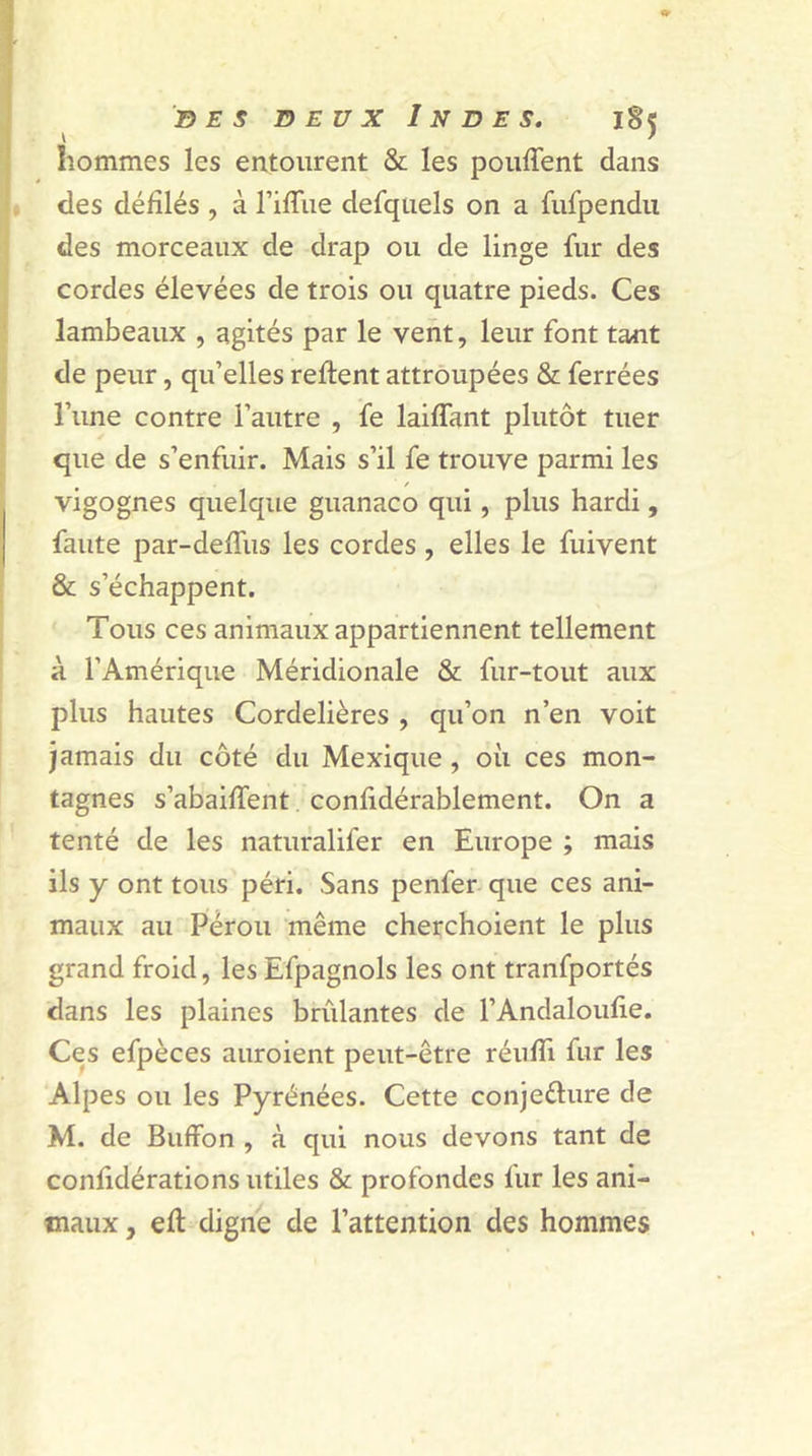 hommes les entourent &amp; les pouffent dans des défilés , à l’iffue defquels on a fiffpendu des morceaux de drap ou de linge fur des cordes élevées de trois ou quatre pieds. Ces lambeaux , agités par le vent, leur font tant de peur, qu’elles reftent attroupées &amp; ferrées l’une contre l’autre , fe laiffant plutôt tuer que de s’enfuir. Mais s’il fe trouve parmi les vigognes quelque guanaco qui, plus hardi, faute par-deffus les cordes, elles le fuivent &amp; s’échappent. Tous ces animaux appartiennent tellement à l’Amérique Méridionale &amp; fur-tout aux plus hautes Cordelières , qu’on n’en voit jamais du côté du Mexique, où ces mon- tagnes s’abaiffent confidérablement. On a tenté de les naturalifer en Europe ; mais ils y ont tous péri. Sans penfer que ces ani- maux au Pérou même cherchoient le plus grand froid, les Efpagnols les ont tranfportés dans les plaines brûlantes de l’Andaloufie. Ces efpèces auraient peut-être réufîi fur les Alpes ou les Pyrénées. Cette conjecture de M. de Buffon , à qui nous devons tant de confidérations utiles &amp; profondes fur les ani- maux , eft digne de l’attention des hommes
