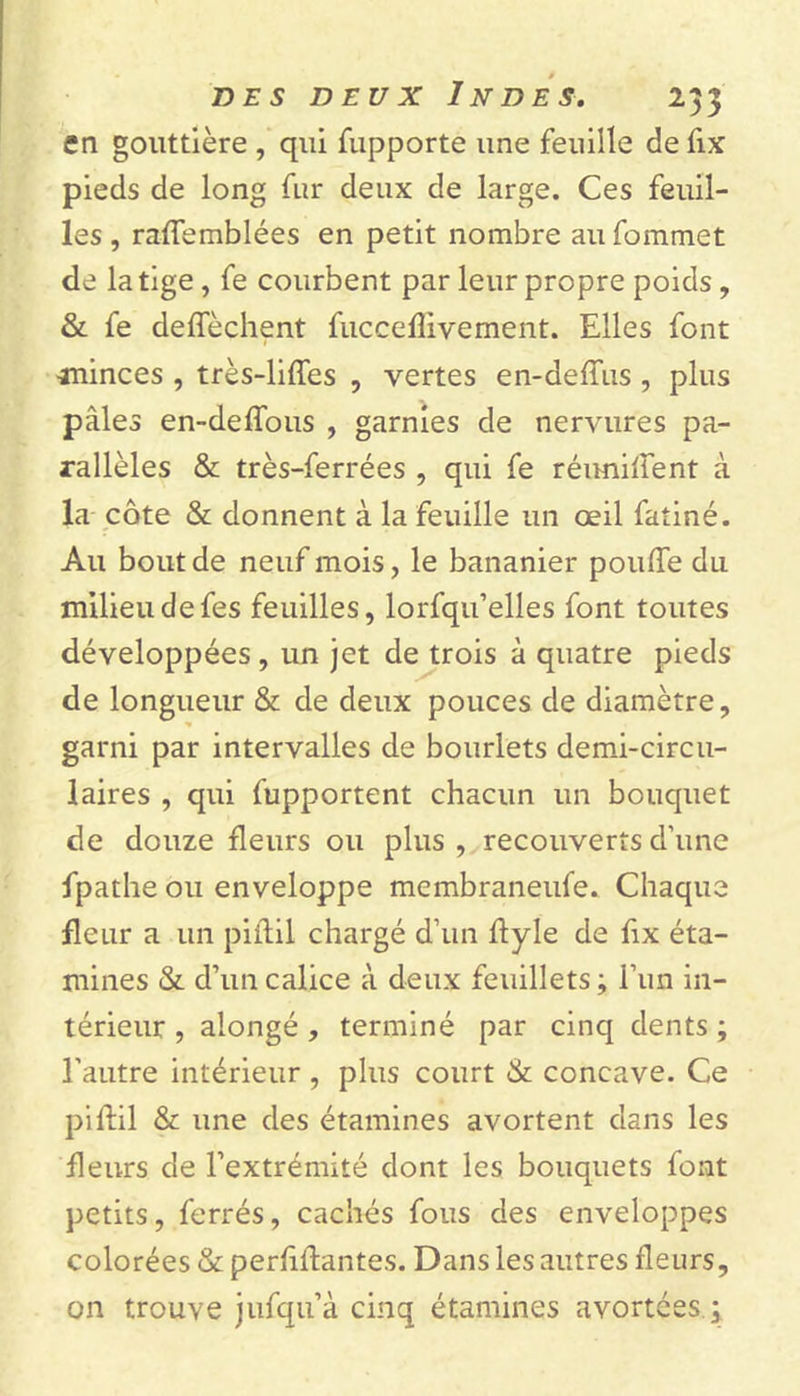 en gouttière , qui fupporte une feuille defix pieds de long fur deux de large. Ces feuil- les , raffemblées en petit nombre au fommet de la tige, fe courbent par leur propre poids, &amp; fe deffèchent fuccefîivement. Elles font minces , très-liffes , vertes en-deffus , plus pâles en-deffous , garnies de nervures pa- rallèles &amp; très-ferrées , qui fe réunirent à la côte &amp; donnent à la feuille un œil fatiné. Au bout de neuf mois, le bananier pouffe du milieu de fes feuilles, lorfqu’elles font toutes développées , un jet de trois à quatre pieds de longueur &amp; de deux pouces de diamètre, garni par intervalles de bourlets demi-circu- laires , qui fupportent chacun un bouquet de douze fleurs ou plus , recouverts d’une fpathe ou enveloppe membraneufe. Chaque fleur a un piftil chargé d’un ffyle de ftx éta- mines &amp; d’un calice à deux feuillets ; l’un in- térieur , alongé , terminé par cinq dents ; l'autre intérieur , plus court &amp; concave. Ce piftil &amp; une des étamines avortent dans les fleurs de l’extrémité dont les bouquets font petits, ferrés, cachés fous des enveloppes colorées &amp; perfiftantes. Dans les autres fleurs, on trouve jufqu’à cinq étamines avortées ;