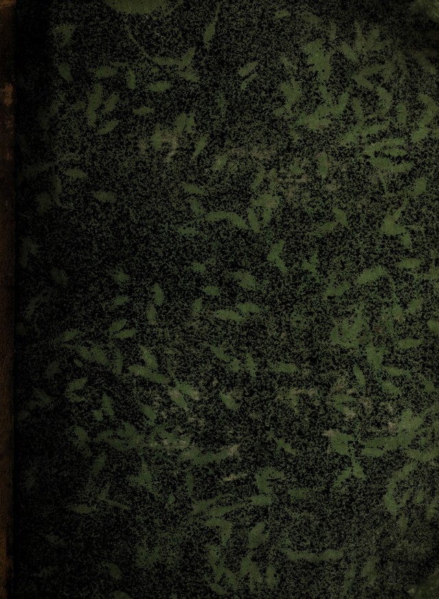 digitised image 1
