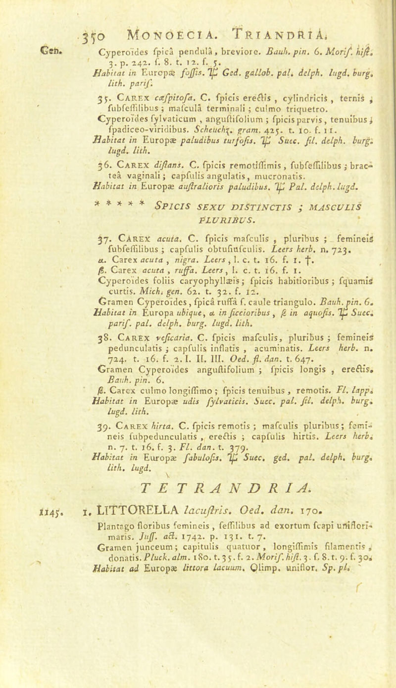 IJ4J. 3^0 Mo N OE CI A. TRïANDRIÀi ' 3* P- *4-- 8. t. 12. f. 5. Habitat in Eurcpæ fojjls. Tp Gsd. galLob. pal, ielph, lugd. hurg, lith, parif. JJ. Carex cctfpitofa, C. fpids ereflis , cylindricis , ternis i fubfeffilibus ; mafculâ terminali ; cuimo triquetro. Cyperoïdes fylvaticum , anguftifolium ; fpicis parvis, tenuibusi fpadiceo-viridibus. Scheuch^, gram. 42J. t. 10. f. 11. Habitat in Europæ paludibus turfojis, Ip Suce. fil. delph. burg^ lugd. lith. 36. Carex dlfians. C. fpicis remotillimis , fubfeïTiIibus ; brac- teâ vaginali ; capfulis angulatis, mucronatis. Habitat in Europæ aufiralioris paludibus. ip Pal. delph. lugd. * ^ * SpICIS SEXU niSTINCTJS ; MASCULIS Plu RI BU S. 37. Carex acuta, C. fpicis tnafeulis , pluribus ; femineîs fubfeflîlibus ; capfulis obtufiufciilis. Leers herb. n. 723. a. Carex acuta , nigra. Leers ^ I. c. t. 16. f. I. j. /?. Carex acuta , ruffa. Leers ^ 1. c. t. 16. f. I. Cyperoïdes foliis caryophyüæis ; fpicis habitîorifaus ; fquamîs curtis. Michi gen. 62. t. 32. f. 11. Gramen Cyperoïdes , fpicâ ruflfà f. caule triangulo. Bauh. pin. 6. Habitat in Éuropa ubique, et. in ficcioribus , /£ in aqnofis. ip Suec, parif. pat. delph. burg. lugd. lith. 38. Carex veficarîa. C. fpicis mafculis, pluribus ; femineis pedunculatis ; capfulis inflatis , acuminatis. Leers herb. n. 724. t. 16. f. 2.1. II. III. Oed. fl. dan. t. 647. Gramen Cyperoïdes anguftifoliuin ; fpicis longis , ereftis, Bauh. pin. 6. •. jS. Carex cuimo longiflimo ; fpicis tenuibus , remotis. Fl. lapp. Habitat in Europæ udis fylvaticis. Suec. pal. fil, delph. burg, lugd. lith, 39. Cakex hirta. C. fpicis remotis ; mafculis pluribus; femi- neis fubpedunculatis , ereflis ; capfulis hirtis. Leers herb, n. 7, t. 16. f. 3. Fl. dan. t. 379. Habitat in Europæ fabulofls. îp Suec, ged. pal. delph, burg, lith. lugd. TE T R A N D R I A. I, LITTORELLA lacujîris, Oed, dan, 170. Plantago floribus femineis , felTilibus ad exortum feapi urriflorï- maris. Jnff. acl. 1742. p. 131. t. 7. Gramen junceum ; capitulis quatuor, longilTimis filamentis ,■ donatis. Pluck, alm. 180. t. 3 5. f. 2. Morif, hift. 3. f. 8. t. 9. f. 30» Habitat ad Europæ littora lacuum, Olimp. uniflor. Sp.pl, ' r