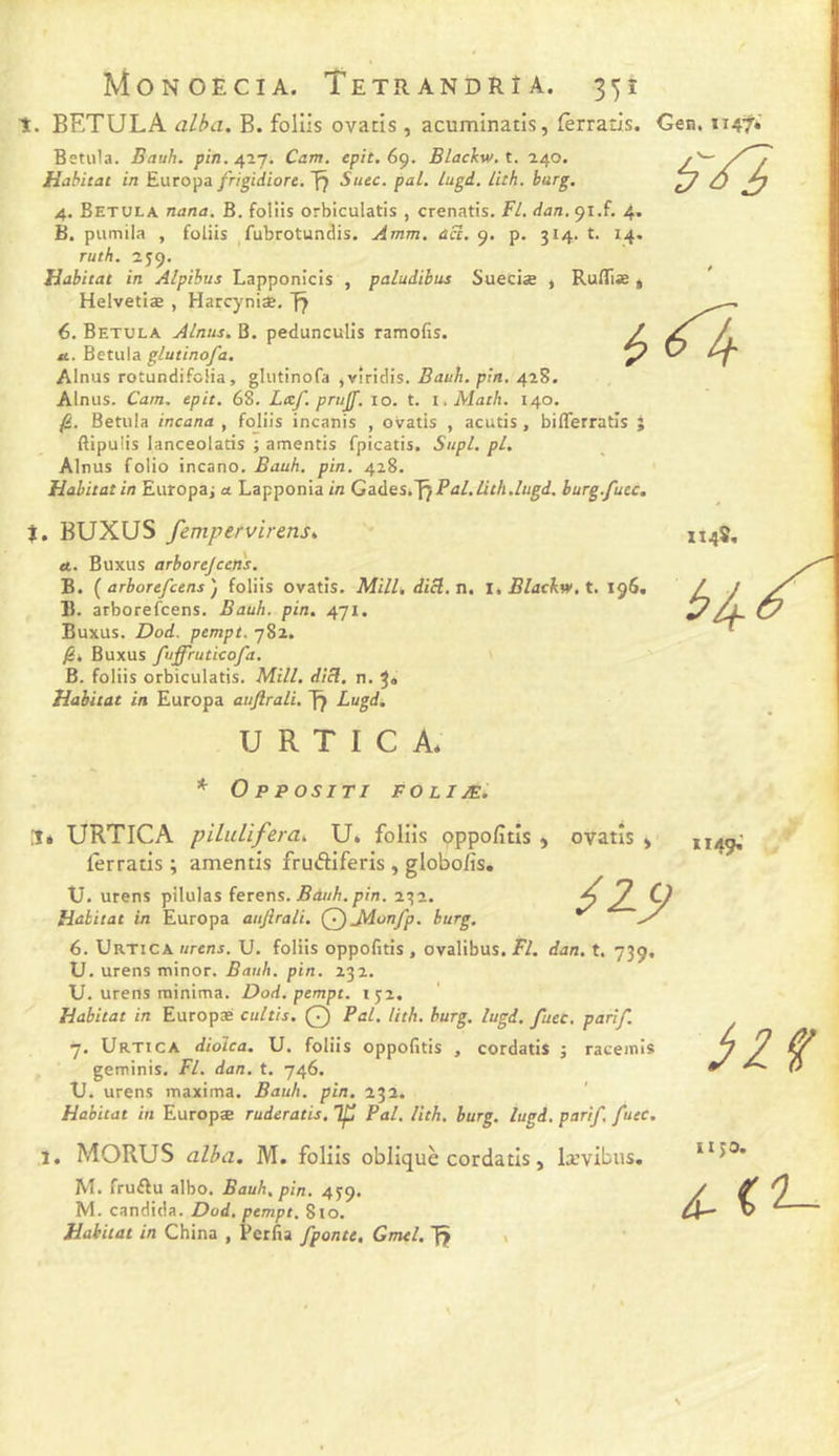 1. BETULA alba. B. follis ovatis , acuminatis, fèrratis. Gen. 1147* Betiila. Bauh. Cam. epit.6^. Blacbw.t. 2.40. Habitat in Europa frigidiore. Stitc. pal. lugd, lith. hurg, 4. Betula nana. B. foliis orbiculatis , crenatis. FL dan. 91.f, 4. B. pumila , foliis ^fubrotundis. Amm. acc. 9. p. 314. t. 14. ruth. 259. Habitat in Alpihus Lapponicis , paludibus Sueciæ , RulTiæ j Helvetiæ , Harcynise, fÿ é. Betula Alnus. B. pedunculis ramofis. tt. Betula glutinofa, Alnus rotundifoüa, glutinofa ,v!ridis. Bauh. pin. 428. Alnus. Cam, epit. 68. Lxf. prujf. 10. t. i. Math. 140. fl. Betula incana , foliis incanis , ovatis , acutis, bifferratîs ; Bipulis lanceolatis ; amentis fpicatis. SupL. pl. Alnus folio incano. Bauh. pin. 428. Habitat in Europai <x Lapponia in Gades.Y}PaLlith.lugd. burg./uec, t. BUXUS fempervirens^ tt. Buxus arborejcens. B. ( arborefcens J foliis ovatis. Mill, dicl.n, i,Blackw,t. 196. B. arborefcens. Bauh. pin. 471. Buxus. Dod. pempt. 782. /Si Buxus fuffrutico/a. B. foliis orbiculatis. Mill. dicl. n. J» Habitat in Europa auftrali. I7 Lugd. U R T I C Ai 114S. * O P POSITI FOLJÆ. ,1é URTICA pilulifera. U. foliis çppofitîs , lerratis ; amentis frudiferis , globo/is. tJ. urens pilulas ferens. Bduh.pin. 232. Habitat in Europa aujlrali. QjAonfp. burg. 6. Urtica urens. U. foliis oppofitis , ovalibus. Fl. dan. t. 739, U. urens minor. Bauh. pin. 232. U. urens minima. Dod. pempt. 13:2. Habitat in Europæ cultis. Q Pal. lith. burg. lugd. fuec. parif. y, Urtica dioica. U. foliis oppofitis , cordatis ; raceinis geminis. Fl. dan. t. 746. U. urens maxima. Bauh. pin. 232. Habitat in Europæ ruderatis, Tp Pal. lith. burg. lugd. parif. fuec. ovatis ) 1149,’ t. MORUS alba. M. foliis oblique cordatis, Ix’vibus. M. fruRu albo. Bauh. pin. 4^9. M. candida. Dod. pempt. 810. Habitat in China , Perfia fponte, Gmel. \ Il JO. 4: