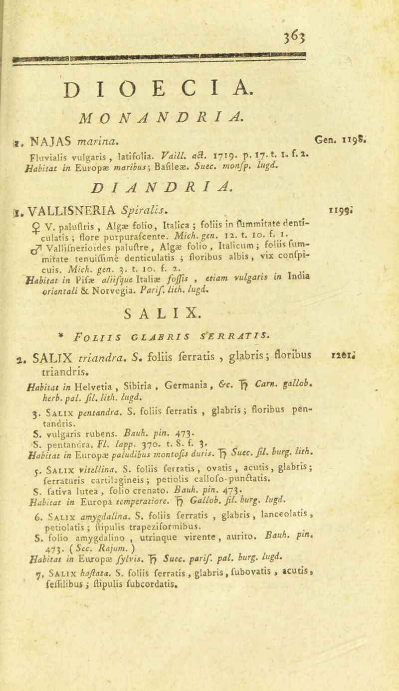 M O N A N D R I A. t. NAJAS marina. Fluvialis vulgaris , latifolîa. Vaill. acl. P> 1,7'I> E î. Habitat in Europæ maribus', Ba(îleæ. Suec. monfp, lugd. D I A N D R I A. J.VALLISNERIA Ç V. pakiflris , Algæ folio, Italica ; foliis in (Vimmitate dentî- '^'culatis ; flore purpurafcente. Midi. gen. 11. t. lo. f*_i- jT' Vallifnerioïdes paluftre , Algæ folio , Italicum ; foins fum- mifate tenuiflimè denticulatis ; floribus albis , vix confpi- cuis. Mick. gtn. t. 10. f. a. . • t j- Habitat in Pifæ aHifqut Italiæ fojfis , etiam vulgans in India orientait &amp; Norvegia. Parif.iuh. lugd. S A L I X. * Foliis clasris s'erratis. a. SALIX triandra. S, foliis ferratis , glabris ; floribus triandris. Habitat in Helvetia , Sibiria . Germania, &amp;c. Carn. gallob. herb. pal. fil. lith. lugd. 3. Salix pentandra. S. foliis ferratis , glabris; floribus pen- tandris. S. vulgaris rubens. Bauh. pin. 473. S. pentandra. Fl. lapp. 370. t. 8. f. 3* , ... Habitat in Europæ paludibus montofis duris. J7 Suec. fil. burg. lith. J, Salix vitellina. S. foliis ferratis, ovatis , acutis, glabris; ferraturis cartîlagineis ; petiolis callofo-punftatis. 5. fativa lutea , folio crenato. Bauh. pin. 473. Habitat in Europa temperatiore. Gallob, fil. burg. lugd. 6, Salix amygdalina. S. foliis ferratis , glabris, lanceolatis , petiolatis ; ftipulis trapeziformibus. S. folio amygdalino , utrinque virente, aurito. Bauh. pin, 473. ( S«c. Rajum.) Habitat in Europæ fylvis. f) Suec. parif. pal. burg. lugd. t], Salix hafiata. S. foliis ferratis, glabris, fubovatis , acutis, feflilibus ; flipulis fubcordatis. 1195; ri9i«