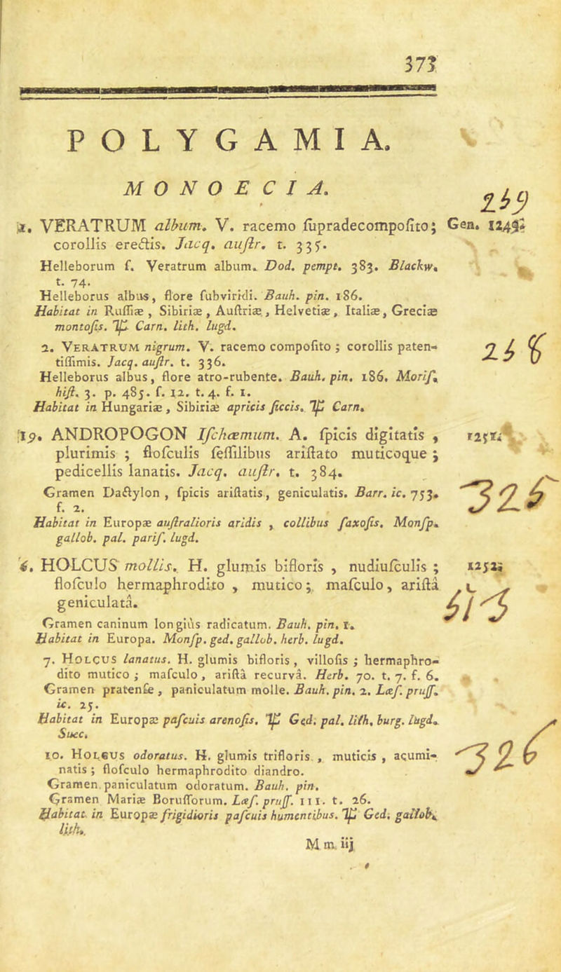 37? POLYGAMIA. M O N O E C I A. P ji, VERATRUM album. V. racemo fùpradecompofito; coroIJis ereftis. Jacq, aujlr, t. 335'. Helleborum f. Veratrum album^ Dod. pempt. 383. Blackw, t. 74- Helleborus albas, flore Cabylriél. Bauh. pin. 186. Habitat in Rufliæ , Sibiriæ , Auftriæ., Helvetiæ, Italiæ, Grecise montofis. Carn. lith, lugd. 2. Veratrum nigrum. V. racemo compofito ; corollis paten- tiflimis. Jacq.auftr. t. 336. Helleborus albus, flore atro-rubente. Bauh. pin, 186. MoriJ\ hijl. 3. p. 485. f. ix. t. 4. f. I. Habitat in Hungariæ, Sibiriæ apricis ficcîs. ip Carn. :jp, ANDROPOGON Ifchœmum. A. fpicis dîgitatîs , plurimis ; flofculis fèflilibus ariflato muticvique 3 pedicelHs lanatis. Jacq, aujlr, t. 384. Gramen Daflylon , fpicis ariftatis , geniculatis. Ban, ic, f. 2. Habitat in Europæ auflralioris aridis , coUibus faxofis, Monfp, gallob, pal. parif. Lugd. i, HOLCUS mollis., H. glumîs bifloris , nudiu/culîs ; floiculo hermaphrodiïo , mutico; mafculo, ariftâ geniculatâ. Gramen caninum longiùs radicatum. Bauh, pin, i. Habitat in Europa. Monfp. gtd, gallob. herb. lugd, 7. Holcus lanatus. H. glumis bifloris, villofis ; hermaphro- dite mutico ; mafeulo , ariftâ recurvâ. Herb. 70. t. 7. f. 6. Gramen pratenfe , paniculatum molle. Bauh. pin. 2. Lxf. prujf, ic. 25. Habitat in Europæ pafeuis arenojts, ip Gtd. pal. liih, burg. iHgd.. Suce, 10. HoEeus odoratus. H, glumis trifloris., muticis , açumi-, natis ; flofeulo hermaphrodite diandro. Gramen. paniculatum odoratum. Bauh, pin. Gramen Mariæ Boruffbrum, X*/.iii. t. 26. Habitat, in Europæ frigidioris pafeuis huntentibus. Tp Gedi gaiiob., lith*. M m. iîj Gen, 124I* - t Il % t252i iH $
