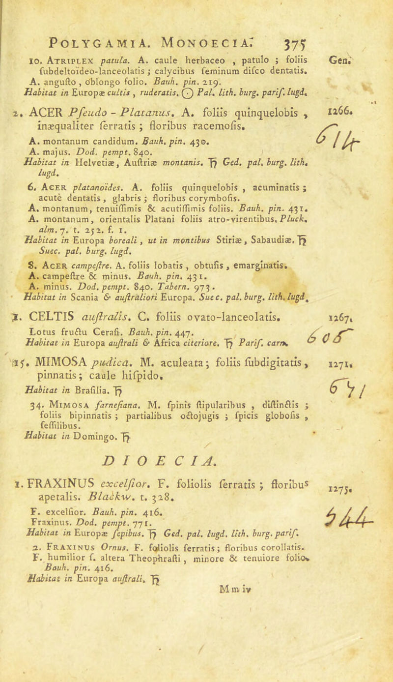 POLYGAMIA. MONOECIAr 37^ 10. Atriplex patula. A. caule herbaceo , patulo ; foliis fiibdeltoïdeo-lanceolatis J calycibus feminum difco dentatis. A. angufto , oblongo folio. Bauh. pin. 219. Habitat in Europæ cuLtis , ruderatis. Q Pal. lith, burg. parif. lugi. i. ACER Pfeudo - Platanus, A. folüs quînquelobis , inæqualiter fèrratis ; floribus racemofis. A. montanum candidum. Bauh, pin, 430, A. majus. Dod. pempt. 840. Habitat in Helvetiæ, Auftriæ montanis, Ged. pal, burg, lith, lugd. 6, Acer platanoïdes. A, foliis quinquelobis , acuminatîs ; acutè dentatis , glabris ; floribus corymbofis. A. montanum, tenuiflimis &amp; acutiflimis foliis. Bauh, pin. 431. A. montanum, orientalis Platani foliis atro-virentibus.PAcA. alm. 7. t. 2 J 2. f. I. Habitat in Europa boreali, ut in montibus Stiriæ, Sabaudiæ. fî Suec, pal. burg. lugd. S. Acer campejlre. A. foliis lobatis , obtufis , emarginatis. A. campeftre &amp; minus. Bauh. pin, 431. A. minus. Dod. pempt. 840. Tabern. 973. • Habitat in Scania &amp; aufiraliori Europa. Suec. pal. burg, lith, lugd^ JL. CELTIS aujlralis, C. folüs ovato-lanceolatîs. Lotus fruftu Cerafi, Bauh. pin. 447. Habitat in Europa aujlrali &amp; Africa citeriore, 17 Pari/, cartK 12674 éor MIMOSA piidica. M. aculeata; folüs lubdigitatis, pinnatis; caule hifpido. Habitat in Brafllia. f? 34. Mimosa farnefiana, M. fpinîs flipularibus , dlftinftis ; foliis bipinnatis ; partialibus oftojugis j fpicis globolis , feflilibus. Habitat in Domingo. D I O E C I A. 12714 ^7/ 1. FRAXINUS exceljior, F. foüoüs lerratis ; florlbu* apetaüs. Blaèkw. t. 328. F. excelfior. Bauh, pin. 416. Fraxinus. Dod. pempt.’j’ji. Habitat in Europæ fepibus. Ged. pal, lugd, lith. burg. pari/. a. Fraxinus Omus. F. fqiliolis fèrratis; floribus corollatis. F. humilior f. altéra Theophrafti, minore &amp; tenuiore folio* Bauh, pin, 416. Habitat in Europa aujlrali, fj 1275.