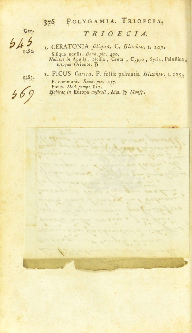 P O L Y G A M î A. T RI O E C î As TRIOECIA. Gen. t%î%> I. CERATONIA Jîüqua. C. Blackw. t, 20p. Siliqua edulis. Bauh.jin. 400. Habitat in Apulia, iicilia , Creta , Cypro , Syria, Palæftîna ^ totoque Oriente. 7? ’ X. FICUS Carica. F. foliîs palmatîs. BLickw» t. 125a F. comrpunis. Bauh. pin, 4J7. Ficus. Dod.pempt.8iz. Habitat in Europa auftrali, Afia. [7 Monfp, ï \ / ^ “■ J \