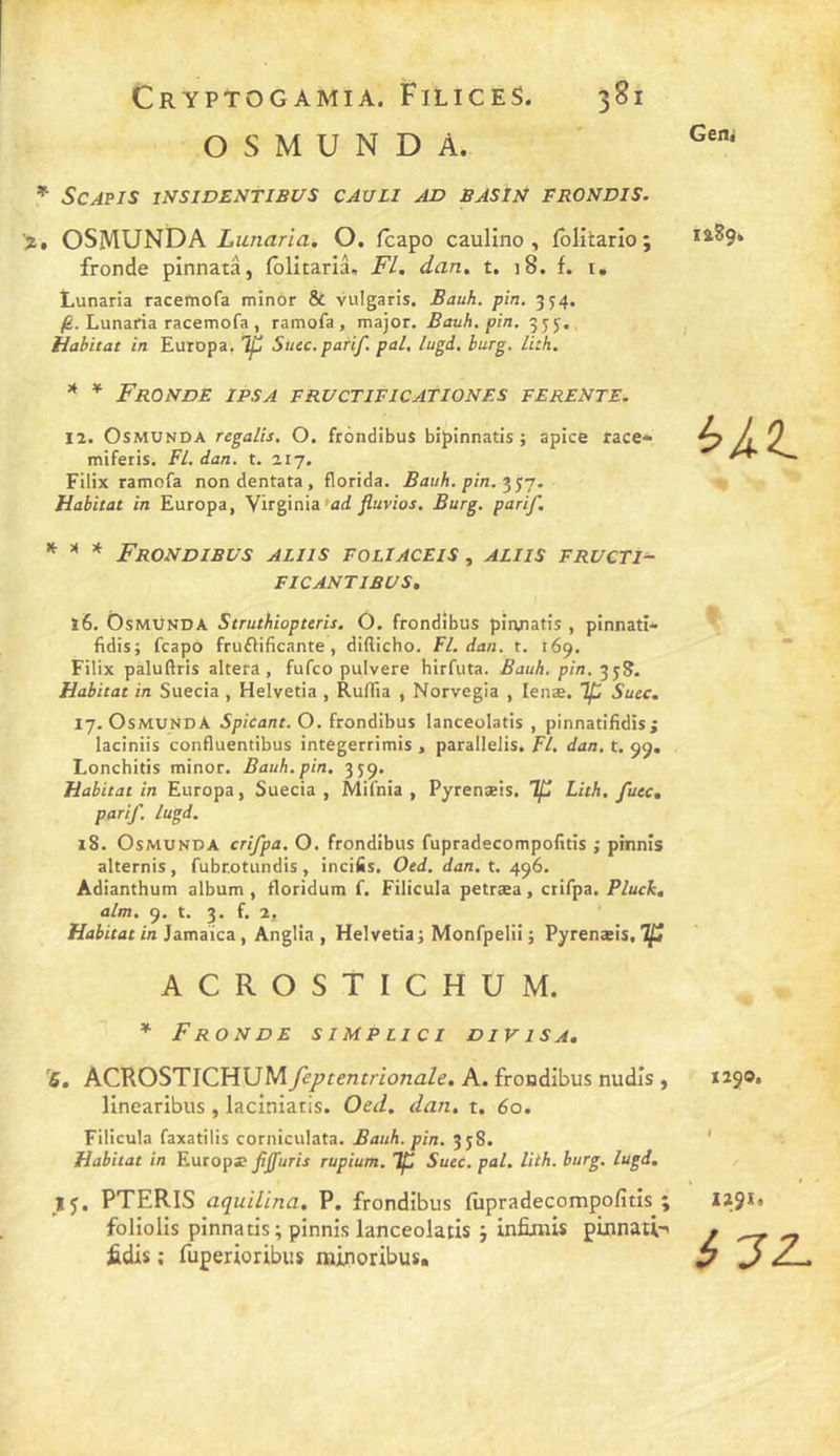 O s M U N D A. ' * SCAPIS INSIDENTIBUS CAULI AD BASÏJi FRONDIS. '%» OSMUNT)A Lunaria. O. fcapo caulîno , folitario; 1489» fronde pinnatâ, fblitariâ. Fl. dan, t. 18. f. i. Lunaria racemofa mînor &amp; vulgaris. Bauh. pin, 354. /6. Lunaria racemofa , ramofa, major. Bauh. pin, 35J.> , Habitat in Europa. Tp Suec.panf. pal, lugd. burg. lith. * * Fronde ipsa pructiricationes ferente. 12. OsMUNDA regalis, O. frondibus bipinnatis ; apice race- mi feris. FL. dan. t. 2.17. Filix ramofa nondentata, florida. Bauh. pin. Habitat in Europa, y\x^\R\z*ad fluvios. Burg. parif. * Frondibus aliis foliaceis , aliis fructi^- FICANTIBUS, ï6. ÔsMUNDA Struthiopuris. O. frondibus pinnatis , pinnati- fidis; fcapo fruRificante, diflicho. Fl. dan. t. 169. Filix paluftris altéra, fufco pulvere hirfuta. Bauh. pin. 35?. Habitat in Suecia , Helvetia , Ruflîa , Norvegia , lenæ. Tp Suec. 17. OsMUNDA Spicant.O. frondibus lanceolatis , pinnatifidis j laciniis confluentibus integerrimis , parallelis. Fl. dan. t. 99. Lonchitis minor. Bauh. pin. 359. Habitat in Europa, Suecia, Mifnia , Pyrenæis. Tf Lith, fuec, parif. lugd. 18. OsMUNDA crifpa, O. frondibus fupradecompofitis ; pinnis alternis, fubr.otundis, incifis. Oed, dan. t. 496. Adianthum album , floridum f. Filicula petræa, crifpa. Pluck. alm. 9. t. 3. f. 2, Habitat in Jamaica, Anglia , Helvetia ; Monfpelii ; Pyrenæis, Tp ACROSTICHUM. * Fronde s i m p li c i divisa. 15. ACROSTICHUM feptemrionale, A. frondibus nudîs , llnearibus , laciniatis. Oed. dan. t. 60, Filicula faxatilis corniculata. Bauh. pin. 358. Habitat in Eutopx fiffuris rupium. Tp Suec. pal. lith. burg. lugd. 15. PTERIS aquilina. P. frondibus fupradecompofitis ; foliolis pinnatis; pinnis lanceolatis j infimis pinnati-i fidis ; fuperioribus mijnoribus. 1290. < 2291# ^ JZ.