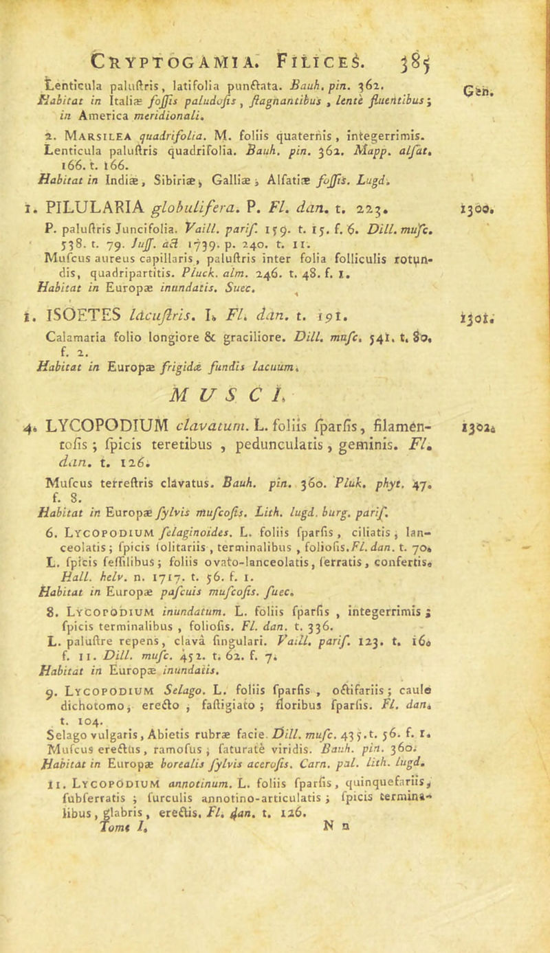 Cîl YPTOG AMI A.' FitiCEé. ;585 tentîcula pakiftris, latifolia punftata. Bauh, pin. 362, Habitat in Italiæ fojjis paludofis , ^agnantibus , lente fluentibus i in America meriâionali, i I. Marsilea quairifoLia. M. foliis quaterriis , întegerrimis. Lenticula paUiAris quaclrifolia. Bauh, pin, 362. Mapp, aljat, 166. t. 166. Habitat in Indiæ, SibiriSi Galliæ i Alfatiae fojjti. Lugd-, ■ i. PILULARIA gLobulifera. P. FL. dan, t. 22,3. 1300. P. paluftris Juncifolia. Vaill, pari/. lyç. t. Ij, f. 6. Dill.mufç. • 538. t. 79. Juff. acl 1739. p. 240. t. II. Mufcus aiireus capillaris, paluftris inter folia folliculis rotiiin* dis, quadripartitis. Pluck. alm. 246. t. 48. f. l. Habitat in Europæ intindatis. Suec. , t. ISOETES Idcujlris. L Fl. dan. t. 19I. ijot. Calamaria folio longiore &amp; graciliore. Dill, mafc, 54)1. t, 80, f. 2. Habitat in Europæ frigidà fundis lacuum, M U S C î. LYCOPODIUM clavatum.L. foliis fpar/îs, filamen- 13024 tofis ; fpicis teretibus , pedunculatis, geminis. Fl, dan. t. 126. Mufcus terreftris clâvatus. Bauh. pin, 360. Pluk, phyt, 47. f. S. Habitat in Europæ fylvis mufcofis. Lith. lugd. burg. parij^. 6. Lycopodium felaginoides. L. foliis fparfis , ciliatis^ lan- ceolatis; fpicis folitariis , terminalibus , foliofis.F/. «fan. t. 70» L. fpicis felTilibuS; foliis ovafo-lnnceolatis, (erratis, conferCiss Hall. helv. n. 1717. t. 56. f. i. Habitat in Europæ pafcuis mufcofis. fuec. g. LŸCOrobiUM inundatum. L. foliis fparfis , integerrimis j fpicis terminalibus , foliofis. Fl. dan. t. 336. L. paluftre repens, clavà fingulari. Vaill, parif. 123, t. 164 f. II. Dill. mufc. 4J2. t. 62. f. 7i Habitat in Europæ inundaüs, 9. Lycopodium Selago. L. foliis fparfis , offifariis; caulo dichotomoj erefto j faftigiato ; floribus fparfis. Fl. dan, t. 104. Selago vulgaris, Abietis rubræ facie. Üill, mufc, 43 jf.t. 56. f. r. Mufcus ereflüs, ramofus j faturatè viridis. Bauh. pin. 360; Hetbitat in Europæ borealis fylvis acerofis. Carn. pal. lith. lugd, II. LycopOdiuM annotinum. 1.. foliis fparfis, quinquefariîs, fubferratis ; furculis annotino-articulatis ; fpicis Cerniina» libus, glabris , ereflis.i/an. t. 126. Âomt l, N