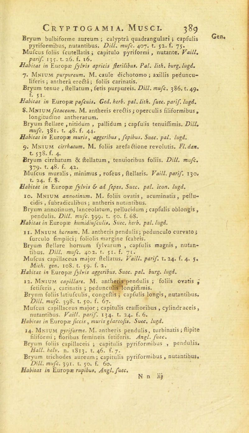 Bryum bulbiforme aureum ; calyptrà quadrangulari ; capfulis pyriformibus, nutantibus. DiU. mufc. 407. t. ja. f. 75. Mufcus foliis fcutellatis ; capitulo pyriformi , nutante. Vaill, parif. 135. t. 26. f. 16. Habitat in Europæ fyLvis apricis fierilibus. Pal, lith, bur^.lugd. 7. Mnium purpttreum. M. caule dichotomo ; axillis peduncu- liferis ; antherâ ereftâ; foliis carinatis. Bryum tenue , ftellatum , fetis purpureis. DUl, mufc. 386. t, 49. f. ji. Habitat in Europæ pafcuit, Ged. htrb. pal. lith. futc. parif, lugd, S, MNiVMfetaceum. M. antheris ereflis ; operculis filiformibus, longitudine antherarum. Bryum ftellare ,nitidum , pallidum ; capfulis tenuiflimis. DiU, mufc. 381. t. 48. f. 44. Habitat in Europae mûris y aggeribus , fepibus, Suec. pal, lugd. 9. Mnium cirrhatum. M. foliis arefaftione revolutis. Fl, dan. t. 538./. 4. Bryum cirrhatum &amp; ftellatum, tenuioribus foliis. DiU, mufc. 379. t. 48. f. 42. Mufcus muralis, minimus , rofeus, ftellaris. Vaill, parif. 130. t. 24. f. 8. Habitat in Europæ fylvis &amp; ad ftpes. Suec. pal. icon. lugd. 10. Mnium annotinum. M. foliis ovatis, acuminatis, pellu- cidis , fubradicalibus -, antheris nutantibus. Bryum annotinum, lanceolatum, pellucidum j capfulis oblongis , pendulis. DiU. mufc. 399. t. 50. f. 68. Habitat in Europæ humidiufculis. Suec, herb, pal, lugd. 11. Mnium hcmum. M. antheris pendulis; pedunculo curvato; furculo fimplici; foliolis margine fcabris. Bryum ftellare hornum fylvarum , capfulis magnis , nutan- tibus. DiU. mufc. 402. t. 31. f. 71. Mufcus capiilaceus major ftellatus. Vaill. parif, 1,24. f. 4. j. Mich. gen, 108. t. 39. f. 2. Habitat in Europæ fylvis aggeribus, Suec. pal. burg. lugd. 12. Mnium capillare. M. ant!ieîis~pendulis ; foliis ovatis ^ fetiferis , carinatis ; pedunciilis^ongiftimis. Bryum foliis latiufculis, congeftis ; capfulis longis, nutantibus. DHL mufc. 398. t. 30. f. 67. Mufcus capiilaceus major ; capitulis craiTioribus , cylindraceis, nutantibus. Vaill. parif. 134. t. 24. f. 6. Habitat in Europæ ficcis , mûris glareofxs. Suec, lugd. 14. Mnium pyriforme. M. antheris pendulis, turbinatis ; ftipite filiformi ; floribus femineis fetiferis. Angl. futc, Bryum foliis capillaceis ; capitulis pyriformibus , pendulis. Hall. helv. n. 1813. t. 46. f. 7. Bryum trichodes aureum; capitulis pyriformibus, nutantibus. Dill. mufc. t. 30. Ê 60. Habitat in Europæ rupibus. Angl, futc. I N n ji)