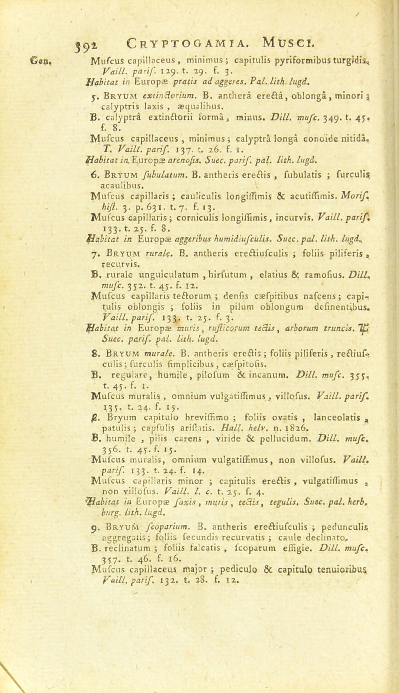 592- Cryptogamia. Musei. Ge<», MuTcus capillaceus , minimus; capitulis pyriformibus turgJdis, Vaill. pu'if- 119. t. 29. f. 3. Habitat in Europæ pratis ai aggeres. Pal. lith. lugi. 5. Bryum extinHerium. B. antlierâ ereftâ, oblongâ , minori j calyptris Iaxis , æqualihus. B. calyptrâ extinflorii forma, minus. Dill. jtjü/c. 349. t. 45. f. 8. Mufcus capillaceus , minimus; calyptrâ longâ conoïde nitidâ. T. Vaill. parif. t. 26. f. l. Habitat in. Europæ arenofis. Suec. parif. pal. lith. Ingd, (}. Bryum fubulatum. B. antheris ereflis , fubulatis ; furculij; acaulibus. Mufcus capillaris ; cauliculis longilTîmis &amp; acutilTimis. Morif, - hijl. 3. p. 631. t. 7. f. 13. Mufcus capillaris; corniculis longi/Timis, incurvis, Vaill. parif, ^ 133. t. 23. f. 8. Habitat in Eurppæ aggeribus humidiufcuUs. Suec. pal. lith. lugi, 7. Bryum rurale. B., antheris erçftiufculis ; foliis piliferis , recurvis. B. rurale unguiculatum , hirfutum , elatius &amp; ramolius. Dill, mufc. 352. t. 43. f. 12. Mufcus capillaris teftorum ; denfis cæfpitibus nafcens ; capi- l;ulis oblongis ; foliis in pilum oblongum dcTinent^bus. Vaill. parif. 133, t. 23. f. 3. Habitat in Europæ mûris, rujlicorum teclis, arborum truncis. Tf Suec. parif. pal. lith. lugi. 8. Bryum murale. B. antheris ercflis ; foliis piliferis, refliuf“ culis ; furcuüs fimplicibus, cæfpitofis. B. regulare, humile, pilofum &amp; incanum. Dill. mufc. 333, t. 43. f. I. Mufcus muralis , omnium vulgatiffimus , villofus. Vaill. parif, 133. t. 24. f. 13. p.. Bryum capitulo hreviffimo ; foliis ovatis , lanceolatis , patulis ; capfulis ariftatis. Hall. helv. n. 1826. B. humile , pilis carens , viride &amp; pcllucidum. Dill. mufc, 356. t. 43. f. i3- . Mufcus muralis, omnium vulgatiffimus, non villofus. Vaill, parif. 133. t. 24. f. 14. Mufcus capillaris minor ; capitulis ereftis , vulgatiflimus , non villofus. Vaill. l. c. t. 23. f. 4. Habitat in Europæ faxis , mifrif , eeciis, tegulis. Suec. pal. herb, burg. lith. lugi. 9. Bryum fcoparium. B. antheris ereftiufculis ; pedunculis aggregalis; foliis fecundis recurvatis ; caule declinato, B. reclinatum ; foliis falcatis , fcoparum effigie. Dill. mufc, 337. t. 46. f. 16. Mufcus capillaceus major ; pediculo &amp; capitulo tenuioribusi