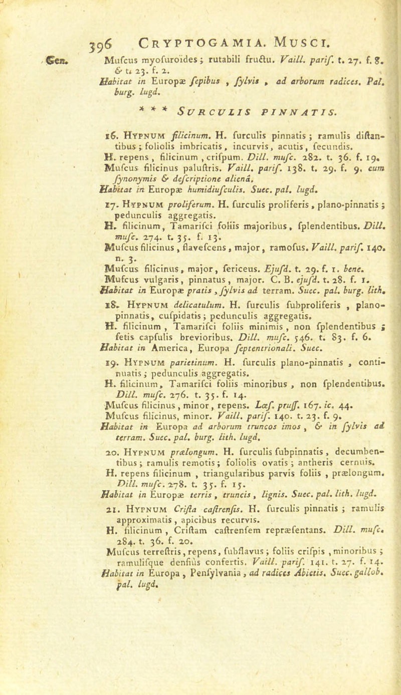 596 &amp; tt 23. f. 2. Habitat in Europæ fcplbus , fylvis , ad arhorum radias. Val. burg. Ingd, * * * Si/ R eu ZI S P I N N AT J S. 16. Hypnum filiclnum, H. furculis pînnatis ; ramulis diftan- tibus V foliolis imbricatis , incurvis, acutis, fecundis. K. repens , blicinum .crifpum. Dill. mufe. 282. t. 36. f. 19, Mufcus filicinus paludris. Vaill, parif, 138. t. 29. f. 9, cum fynonymis &amp; dejeriptione alicnâ. Habitat in Europæ humidiufeulis. Suée. pal. lugd, ty. Hypnum proUferum, H. furculis proliferis, plano-pinnatis ; pedunculis aggregatis. H. filicinum, Tamarifci foltis majoribus, fplendentibus. mufe, TT]a,, t. 3 J. fi 13. Mu feus filicinus , flavefeens , major, ramofus. Vaill. parif 140. n, 3. Mufcus filicinus, major, fericeus. Ejufd. t. 29. f. i. bene. Mufcus vulgaris, pinnatus , major. C. B. ejufd. t. f. ï. Habitat in Europæ pratis , fylvis ad terram. Suec. pal. burg. lith, rS. Hypnum delicatulum. H. furculis fubproliferis , plano- pinnatis, cufpidatis; pedunculis aggregatis. H. filicinum , Tamarifci foliis minimis , non fplendentibus s fetis capfulis brevioribus. Dill. mufe. 546. t. 83. f. 6. Habitat in America, Europa feptenerionali. Suee. 19. Hypnum parietinum. H. furculis plano-pinnatis , conti- nuatis ; pedunculis aggregatis. H. filicinum, Tamarifci foliis minoribus , non fplendentibus. DHL mufe. 276. t. 35. f. 14. Mufcus filicinus , minor , repens. Laf. prujf. 167. ie. 44. Mufcus filicinus, minor. Vaill. parif 140. t. 23. f. 9. Habitat in Europa ad arhorum truncos imos , &amp; in fylvis ai terram. Suee. pal. burg. iith. lugd. 20. Hypnum pmlongum. H. furculis fubpinnatis, decumben- tibus ; ramulis remotis ; foliolis ovatis ; antheris cernuis. H. repens filicinum , triangularibus parvis foliis , prælongum. DHL mufc.i’jB. t. 3y. f. 15. Habitat in Europæ terris , truneis , lignis. Suec. pal. Iith. lugd, 21. Hypnum Crifla cajlrenfis. H. furculis pinnatis ; ramulis approximatis, apicibus recurvis. H. filicinum , Criftam caftrenfem repræfentans. DHL mufe, 284. t. 36. f. 20. Mufcus terreftris, repens, fubflavus ; foliis crifpis ,minoribus j ramulifque denfiùs confettis. Vaill. parif 141. t. 27. f. 14. Habitat in Europa , Penfylvania, ad radiées Abietis, Suec. gallob. pal. lugd.