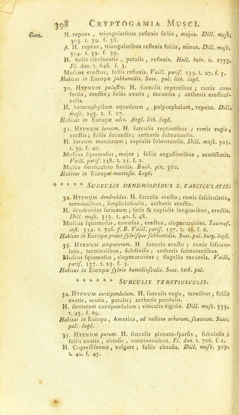 H. repens , triangularibus reflexis foliis , majus. DU/, nufii 303. t. 39. f. 3S. ; jg. H. repens, triangularibus reflexis foliis, minus. DïLl, mufc. 304. t. 39. f. 39. H. foliis cincinnatis j patulis , reflexis. Hall. hdv. n. 1733* Fl. dan. t. 648, f. 3* * Mufcus ereftiis; foliis reflexis. Vaill. parif. 139. t. 27. f. y. Habitat in Europæ Jubhumidis. Suec. pal. lith. lugd. ' 30. Hypnum palujire. H. furculis repentibus ; tamis con<i ^ fertis, ereftis ; foliis ovatis , fecundis > antlieris ereftiuf- I culis. H. heterophylîum aquaticum , polycephalum, repens. Dilh mufc. 293. t. f. 17. ' Habitat in Europæ udis. Angl. lith, lugi. 31. Hypnum loretim. H. furculis reptantibus ; ramis vagis* ■ ercflis ; foliis fecundis j antheris lubrotundis. H. loreum montanum ; capfulis fubrotundis. Z?///, mnfc.^o^. t. 39. f. 40. ) Mufcus fquamofus, major ; foliis anguflioribus , acutiflimis* \ Vaill. parif. 138. t. 25. f. 2. Mufco denticulato fimilis. Bauh. pin. 360; Habitat in Eütopæ-montojis. Lugdi ' , * * * ^ ^ SURCULIS DENDROIDIBUS S. FASCICULÀTiSi ^ 32. Hypnum dendroides. H. furculo erefto j ramis fafciculatis* j terminalibus , fimpliciufculis; antheris ereftis. i H. dendroides fericeum ; fetis &amp; capfulis longioribus, ereftis. DHL mufc. 313. t. 40. f. 48. Mufcus fquamofus, ramofus , ereftus, alopecuroïdes. Tournef, ' , injl. 554. t. 326./.-B. Vaill. parif. 137. t. 26. f. 6. j Habitat in Europæ pratisfylvifquc fubhumidis. Suec.pal. burg. lugd. 33. Hypnum alopecurum. H furculo ereflo j ramis fafcicu- latis, terminalibus, fubdivifis ; antheris fubnutantibus- Mufcus fquamofus , alopecuroïdes ; flagellis recurvis. Vaille ' ' parif 137. t. 23. f. y. , , Habitat in Europæ fylvis humidiufculis. Suec. htrh. pal. rk ^ Su roulis TE RETIUSCULIS. 34. Hypnum curiipendulum. H. furculis vagis, teretibus; foliis ovatis, acutis, patulis; antheris pendulis. - H. dentatum curtipendulum ; viticulis rigidis. Dill. mufc. 333, t. 43. f. 69. Habitat in Europa , America, ad radices arhorum, faxorum. Suec, pal. lugd. 3y. Hypnum purum. H. furculis pinnato-fparfis , fubulatis ; foliis ovatis , obtufis , conniventibus. Fl. dan. t. 706. f. 2. H. Cuprefliforme, vulgare j foliis obtufis, Dillt mufc, 3094