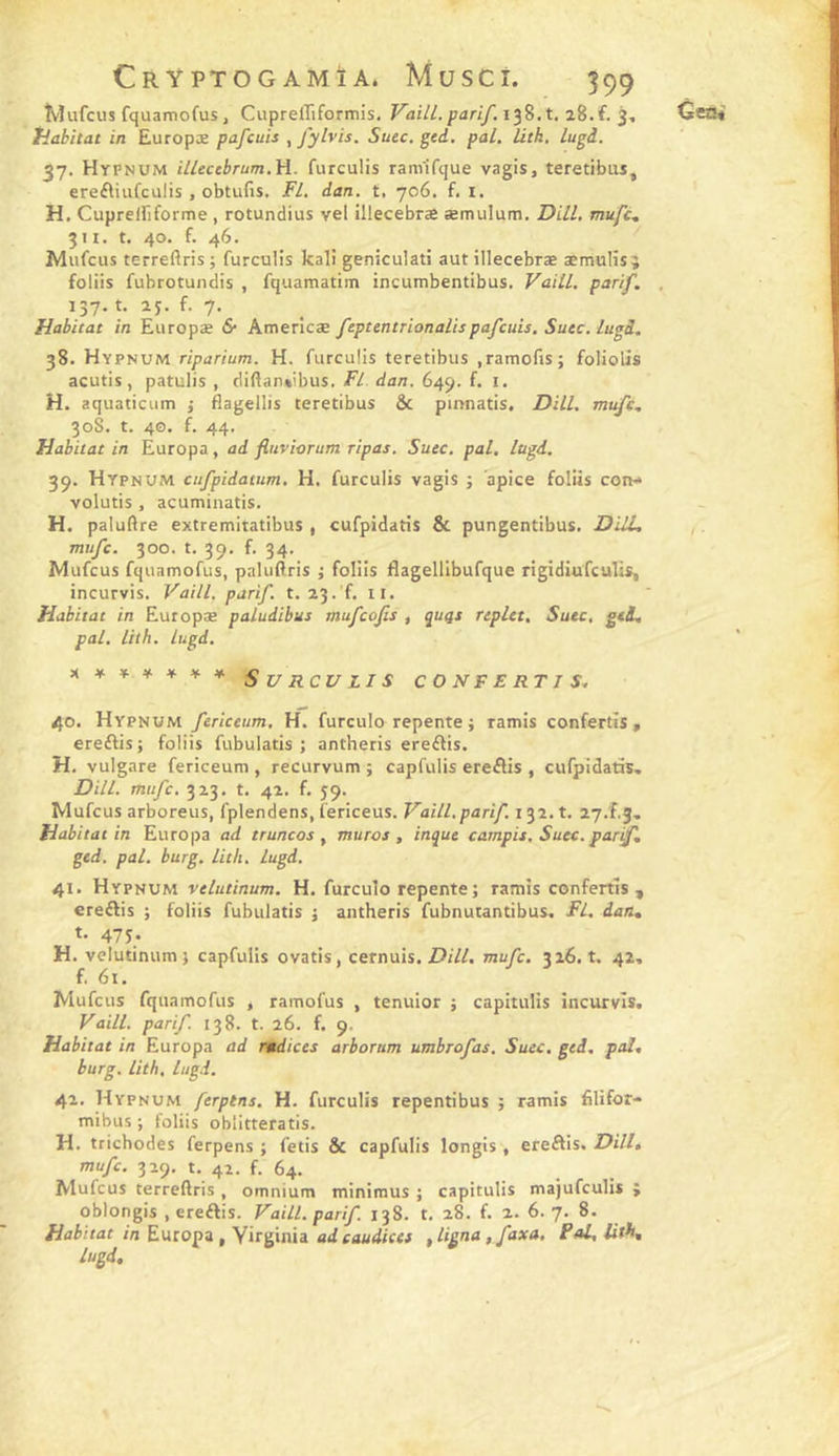 ïvlufcus fquamofus, CuprelTiformis. Fai//.pan/, 138.1. 28.f. j, 37. Hypnum ilUcebrum.W. furculis ram'ifque vagis, teretibus, ereftiiifculis , obtufis. Fl. dan. t, 706. f, i. H, Cupreiriforme , rotundius vel illecebræ æmulum. Dill, mufe, Mufeus terreftris ; furculis kali geniculati aut illecebræ æmulisî foliis fubrotundis , fquamatim incutnbentibus. Vaill. parif. Habitat in Eiiropæ &amp; Amencæ feptentrionalispafcuis. Suce. lugi. acutis, patulis , diflan*ibus. Fl dan. 649. f. i. H. aquaticum ; flagellis teretibus &amp; pinnatis. Dill. mt^c, 39. Hypnum cufpidatum. H, furculis vagis ; apice foliis con- volutis , acuminatis. H. paluftre extremitatibus , cufpidatis &amp; pungentibus. DUL Mufeus fquamofus, paluftris ; foliis flagelllbufque rigidiufeulis, incurvis. Vaill. parif. t. 23. f. ii. Habitat in Europæ paludibus mufeofis , quqs replet. Suce, gcd, 40. Hypnum fericeum. H. furculo repente ; ramis confertïs , ereftis; foliis fubulatis ; antheris ereélis. H, vulgare fericeum , recurvum ; capfulis ereflis , cufpidalàs, Mufeus arboreus, fplendens, fericeus. Vaill, parif. 132. t. 27.f.3. Habitat in Europa ad truncos ^ muros , inque campis. Suce, par^, gtd. pal. burg. lith. lugd. 41. Hypnum vtlutinum. H. furculo repente; ramis confettis, ereflis ; foliis fubulatis ; antheris fubnutantibus. Fl. dan» t. 475. H. velutinum; capfulis ovatis, cernuis. Z?i//. mufe. 326.1. 42, f. 6t. Mufeus fquamofus , ramofus , tenuior ; capitulis incurvis. Vaill. parif. 138. t. 26. f. 9. Habitat in Europa ad rttdices arborum umbrofas. Suce. gcd. paî, burg. lith, lugd. 42. Hypnum ferptns. H. furculis repentibus ; ramis fllifor- mibus ; foliis oblitteratis. H. trichodes ferpens ; fetis &amp; capfulis longis , ereftis. Dill. mufe. 329. t. 42. f. 64. Mufeus terreftris , omnium minimus ; capitulis majufeulis ; oblongis , ereftis. Vaill. parif. 138. t. 28. f. 2. 6.7. 8. Habitat in Europa, Virginia adeaudiees , ligna, f axa, Fal, lith» lugd. GecK