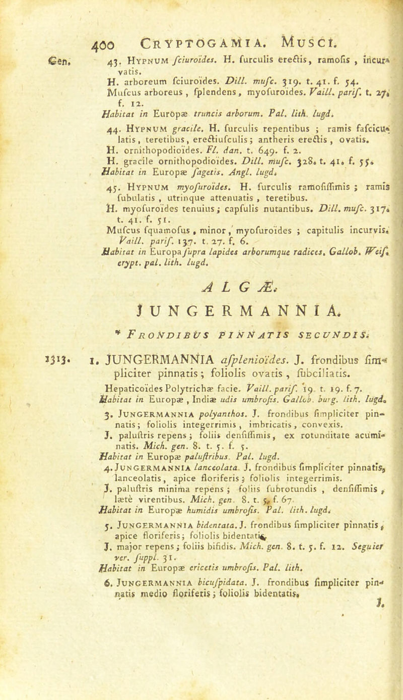 ï^ij. vatis. H. arboreum fciuroïdes. DHL mufc. 319. t. 4i.f. 54. latis , teretibus, ereftiufculis ; antheris ereftis , ovatis. H. ornithopodioïdes. Fl. dan. t. 649. f. 2. H. gracile ornithopodioïdes. DHL mufc. 32861. 41» f. JJ» 45. Hypnum myofuroïdes. H. furculis ramofiflimis ; ramis fubulatis , utrinque attenuatis , teretibus. H. myofuroïdes cenuius; capfulis nutantibus. DHL mufc. t. 41. f. 51. Mufcus fquamofus , minor, myofuroïdes ; capitulis incurvis« VailL parif 137. 1,27. f. 6. Habitat in Europa/npra lapides arborumque radiées, Callob, Weif erypt. pal. Lith. lugd. A L G Æs iungermannia. F RObfDIBÜS P I N N AT IS SECULfDISi l, JUNGERMANNIA afplenioïdes. J. frondibus Eni'^ pliciter pinnatis ; foliolis ovatis, fùbciliatis. Hepaticoïdes PolytrichîP facie. VailL parif 19. t. 19. f. 7. Habitat in Europæ , Indiæ udis umbrofis. Ga/lcb. burg. lith. lugd, 3. JUNGERMANNiA polyanthos. J. frondibus fimpliciter pin- natis; foliolis integerrimis , imbricatis , convexis. J. paluftris repens ; foliit denfiffimis, ex rotunditate acumi-* natis. Mich. gen. 8. t. f. Habitat in Europæ palufiribus. Pal. lugd. 4. JUNGERMANNIA lanceolata. J. frondibus fimpliciter pinnatis, lanceolatis, apice floriferis} foliolis integerrimis. paluftris minima repens ; foliis fubrotundis , denfiflîmîs , lætè virentibus. Mich. gen. 8. t. 5., f. 67. Habitat in Europæ humidis umbrofis. Pal. lith. lugd, 5. JUNGERMANNIA bidentata.]. frondibus fimpliciter pinnatis, apice floriferis; foliolis bidentati^ J. major repens ; foliis bifldis. Mich. gen. 8. t. j. f. 12. Seguier ver. fuppL 31. Habitat in Europæ eriettis umbrofis. Pal. lith. 6. JUNGERMANNIA bicufpidata. J. frondibus fimpliciter pin-^ natis medio floriferis ; foliolis bidentatis.