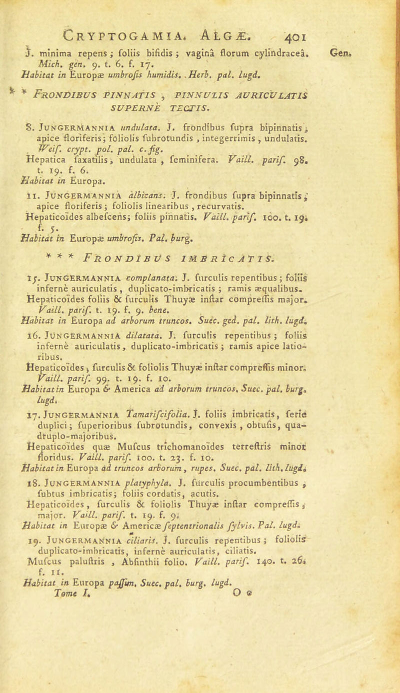 FrONDIBUS PISRATIS , PINKC/ZZS AURIC'ULATIS SUPERNÈ TECTIS. 8. JuKGERMANNiA nndulata. J, frondibus fupra bipinnatisi apice floriferis; foliolis fubrotundis , integerrimis , undulatis. Tf^tif. crypt. pol. pal. c.jig. Hepatica faxatilis, undulata , feminifera. Vaill. parif. 98. Habitat in Europa. ïi. JunGERManniÀ àlbaans. J, frondibus fupra bipinnatis,’ apice floriferis J foliolis linearibus , recurvatis. Hepaticoïdes albefcehs; foliis pinnatis. Vaill, parXf, loo. t. 19* f- 5- *** FrondîbVs JMSRÎCATIS. 17. JunGERMAnnia complanatai J. furculis repentibus ; folüs infernè auriculatis , duplicato-imbricatis ; ramis æqualibus. Hepaticoïdes foliis &amp; furculis Thuyæ inflar compreilis major. Vaill, parif, t. 19. f. 9. bene. 16. JÜNGERMANNIA dilatata, J. furculis repentibus ; foliis infernè auriculatis, duplicato-imbricatis; ramis apice latio- ribus. > Hepaticoïdes > furculisôc foliolis Thuyaé inftarcompreffis minor. Vaill, purif. 99. t. 19. f. lo. Habitat in Europa &amp; America ad arborum truncos, Suec. pal, burg, Lugdt. 17. JuNGERMANNiA TamarifcifoUa. j. îoWis iTahticaûs, férié duplici; fuperioribus fubrotundis, convexis , obtufis, qua- dtuplo-majoribus. Hepaticoïdes quæ Mufeus trîchomanoïdes terreftris minoc floridus- Vaill. parif. 100. t. 23. f. lo. Habitat in Europa ad truncos arborum, rupes, Suec. pal. lith.lugdé 18. JunGERMAnnia platyphyla. J. furculis procumbentibus , fubtus imbricatis; foliis cordatis, acutis, Hepaticoïdes, furculis &amp; foliolis Thuyæ inftar compreiTis major. Vaill. parif. t. 19. f. 9; Habitat in Europæ &amp; Americæ feptentrionalis fylvis. Pal. lugd. 19. JuNGERMAtiNiA ciliaris. J. furculis repentibus ; foliolis duplicato-imbricatis, infernè auriculatis, ciliatis. Mufeus paluftris , Abfinthii folio. Vaill. parif. 140. t. 26. Habitat in Europa paÿwi, Suec, pal, burg, lugd. Tome /, O «