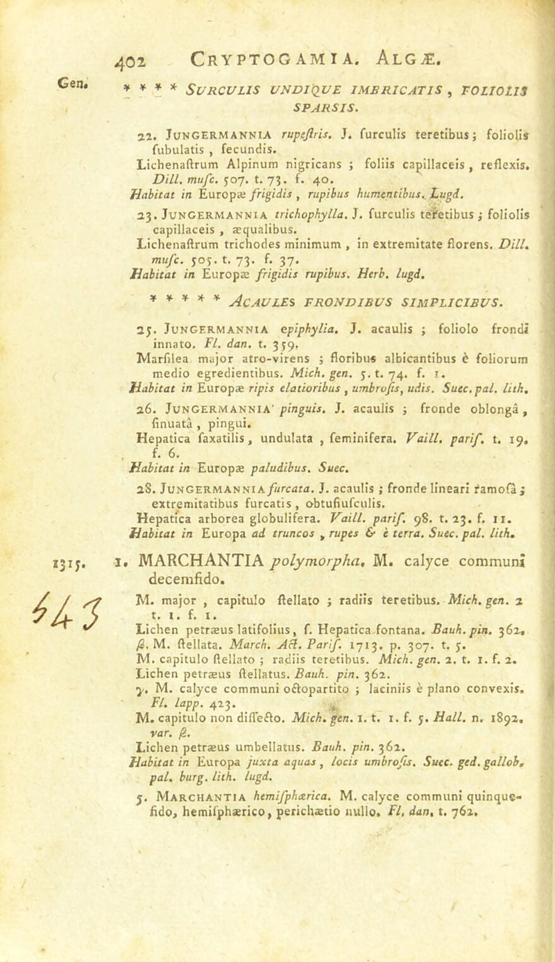 131 y. Us 402 Cryptogamia. Algæ. » ^ î * SVRCULIS UNDI’QVE IMBRICATIS , TOLIOtlS ' SPARSIS. 22. JUNGERMANNIA Tupeflris. J. furculîs teretîbus J folioUs fubulatis , fecundis. Lichenaftrum Alpinum nigricans ; foliis capillaceis , reflexis. m/z/c. 507. t. 73. f. 40. , Habitat in Europæ frigidis , rupibus humcntibus^ Lugd. < 23. JuNGERMANNiA trichophylla. J. furculis teïetibus j foliolîs ! capillaceis , æqualibus. j Lichenaftrum trichodes minimum , in extremitate florens. Dill, j mufc. yoj. t. 73. f. 37. 1 Habitat in Europæ frigidis rupibus, Herb. iugd. j ¥ V » ¥ XcAULES FRONDIBVS SIMPLICIBUS. ] 25. JuNGERMANNiA epiphylia. J. acaulis ; foliolo frondi J innato. Fl. dan. t. 359, ' Marfilea major atro-virens j floribus albicantibus è foliorum ' medio egredientibus. Mich. gen. 5,1.74. f. i. Habitat in Europæ ripis datioribus , umbrojts, udis. Suec.pal. lith, 26. JUNGERMANNIA’ pinguis, J. acaulis j fronde oblongâ , . i finuatâ , pingui. Hepatica faxatilis, undulata , feminifera. Vaill, parif. t. 19, , f. 6. Habitat in Europæ paludibus. Suec. I 28. JUNGERMANNIA furcata. J. acaulis ; fronde lineari famofai extremitatibus furcatis , obtufiufculis. i Hepatica arborea globulifera. Vaill. parif. 98. t. 23.f. ii. Habitat in Europa ad truncos , rupes &amp; è terra. Suec, pal, lith, \ I. MARCHANTIA polymorpha, M. calyce communî decemfido. !M. major , capitulo ftellato j radiis teretibus. hlich. gen, 2 t. I. f, I. Lichen petræus latlfolius, f, Hepatica.fontana. Bauh. pin, 362» jS. M. ftellata. Match. Aà, Parif. 1713. p. 307. t. 5. M. capitulo ftellato ; radiis teretibus. Mich. gen. 1. t. i. f. 2. Lichen petræus ftellatus. Bauh. pin. 362. y, M. calyce commun! oftopartito ; laciniis è piano convexis. ^ Fl. lapp. 423. _ M. capitulo non diflefto, Mich. gen. 1.1. i. f. 5. Hall. n. 1892, var. Lichen petræus umbellatus. Bauh. pin, 362. Habitat in Europa juxta aquas, lacis umbrofis. Suec. ged. galloh, pal. burg. lith. Iugd. 5. Marchantia hemifphcerîca. M. calyce commun! quinque* fido, hemifphærico, perichætio nullo. Fl, dan, t. 762.