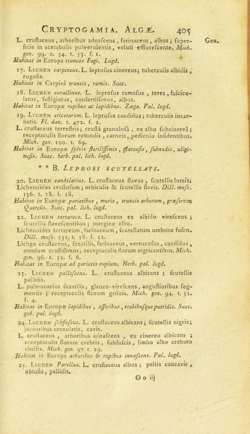 ficie in acetabulis pulverulentis, veluti efflorefcente. Nl'ich. rugofis. Habitat in Carpini truncis, ramis. Suec. iS. Lichen coralUnus. L. leprofus ramofus , tares , fafcicu-- latus, fafliglatus, confertiirirnus, albus. 19. Lichen ericctorum. L. leprofus candidus; tuberculis incar- L. cruftaceus terreftris; cruftâ granulofâ , ex albo fubcinerel; receptaculis florum rotundis , carneis,,pediculo infidentibus. Mich. gen, 100. t. 69. Habitat in Europæ fylvis fierilijfjfîmis , ^areojts, fubnudis, uligi-‘ * B. Leprosi scutellati. ao. Lichen candelarius, L. cruftaceus flavus , fcutellis luteiSi’ Lichenoïdes cruftofum ; orbiculis &amp; fcutellis flavis. Dill. mufc, 136. t. 18. f. 18. Habitat in Europæ parietibus , mûris., truncis arborum, pm/ertint Qjttrcûs. Suec. pal. lith, lugd. 22. Lichen tartareus, L, cruftaceus ex albido virefcens ; fcutellis flavefcentibus ; niargine albo. Lichenoïdes tartareum , farinaceum , fcutellatum umbone fufco. Dill. mufc. 131.1. 18. f. 12. Lichçn cruftaceus, faxatilis, farinaceus , verrucofus , candidus, omnium craffilfimus; receptaculis florum nigricantibus. Af/cA. gcn. 96. t. 52. f. 6. Habitat in Europæ ad parietes rupium. Herb. pal. lugd. 23. Lichen palUfcens. L. cruftaceus albicans ; fcutellis pallidis. L. pulmonarius faxatilis, glauco-virefcens, anguftioribus feg- mentis ; receptaculis florum grifeis. Mich, gen. 94. t. 51. L 4- Habitat in Europæ lapidibus , ajferibus , trabibufqueputridis. Suec. ged. pal. lugd. 24. Lichen fubfufcus, L. cruftaceus albicans j fcutellis nigris; junioribus urceolatis, cavis. L. cruftaceus , arboribus adnafcens , ex cinereo albicans ; receptaculis florum crebris , fubfufcis , limbo albo crehato cinflis. Mich. gen. 97. t. 29. Habitat in Europa arbqribus &amp; rupibus innafcens. Pal, lugd, %y Lichen Parellus.h, cruftaceus albus; peltis concavis » obtufts, pallidis. Go iij