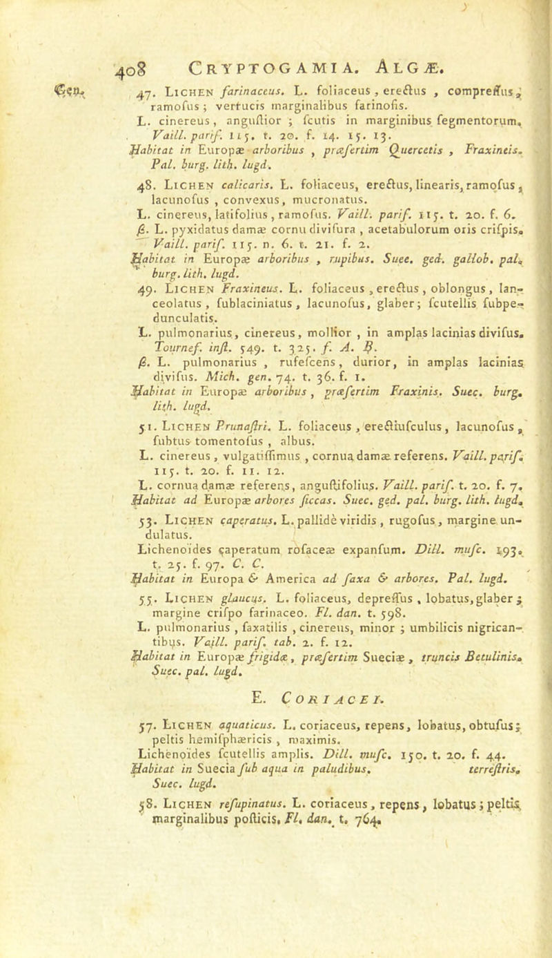 47. Lichen farinaceus. L. foliaceus , ereftus , compreiïuïjJ ramofus ; vertucrs inarginalibus farinofis. L. cinereus, angurtior ; fcutis in marginibus fegmentorum, Vaill. parif. iij, t. 20. f. 14. ly. 13. Habitat in ^\\TO\}æ ■ arboribus , pmfertim Quercetis , Fraxineis. Pal. burg. lith. lagd. 48. Lichen calicaris, L. foHaceus, ereftus,Iinearis,ramofus, lacunofus , convexus, mucronatus. L. cinereus, latifolius, ramofus, Vaill. parif. il y. t. 20. f. 6. /S. L. pyxiclatus damæ cornu clivifura , acetabulorum oiis crifpis. Vaill. parif. iiy. n. 6. i. 21. f. 2. ^abitat in Europæ arboribus , rjtpibus. Suee. gei. gallob, pal, burg. lith, lugd. 49. Lichen Fraxineus. L. foliaceus , ereftus , oblongus, lan- ceolatus , fublaciniatus , lacunofus, glaber; fcutellis fubpe- dunculatis. L. pulmonarius, cinereus, mollior , in amplas laciniasdivifus. Tournef. injl. ^4^. t. 32y. f. A. /S. L. pulmonarius , rufefcens, durior, in amplas lacinias divifus. Mich. gen, 74. t. 36. f. i. Habitat in Europæ arboribus, prxfertim Fraxinis. Suec. burg, lith. lugd. 51. Lichen PrKnd/îrf. L. follaceus , ereftiufculus, lacunofus, fubtus- tomentofus , albus. L. cinereus, vulgatiflïmus , cornuadamaereferens, Vaill. papif. Il y. t. 20. f. II. 12. L. cornuadamæ referen,s, anguftifolius, Vaill. parif. t, 20, f. 7, Habitat ad Europæ arbores ficcas. Suec. ged. pal. burg. lith, lugd, 53. Lichen ç<ip«rarür,L.pallidèviridis,rugofus,rnargine un- dulatus. Lichenoides çaperatum rofaceæ expanfum. Dill. mufc. 4,93. X. 2y. f. 97. C. C. j^abitat in Europa &amp; America ad faxa &amp; arbores. Pal, lugd. y j. Lichen glaucus. L. foliaceus, depreflus, lobatus,glaber ; margine crifpo farinaceo. Fl. dan. t. 398. L. pulmonarius , faxatilis , cinereus, minor ; umbilicis nigrican- tibi^s. Vafll. parif. tab. 2. f. 12. Habitat in Europæ frigidx, prxfertim Sueciæ , truncis Betulinis, Suec. pal, lugd. E. C O RI ACE I. 57. Lichen aquaticus. L. coriaceus, repens, lobatus, obtufus j peltis hemifphæricis , niaximis. Lichènoïdes fcutellis amplis. Dill. mufc, ijo. t. 20. f. 44. Habitat in Suecia fub aqua in paludibus, terrèftris, Suec. lugd. 58. Lichen refupinatus. L. coriaceus, repens, lobatus J peltis, inarginalibus podicis. Fl, dan,^ t, 76/^