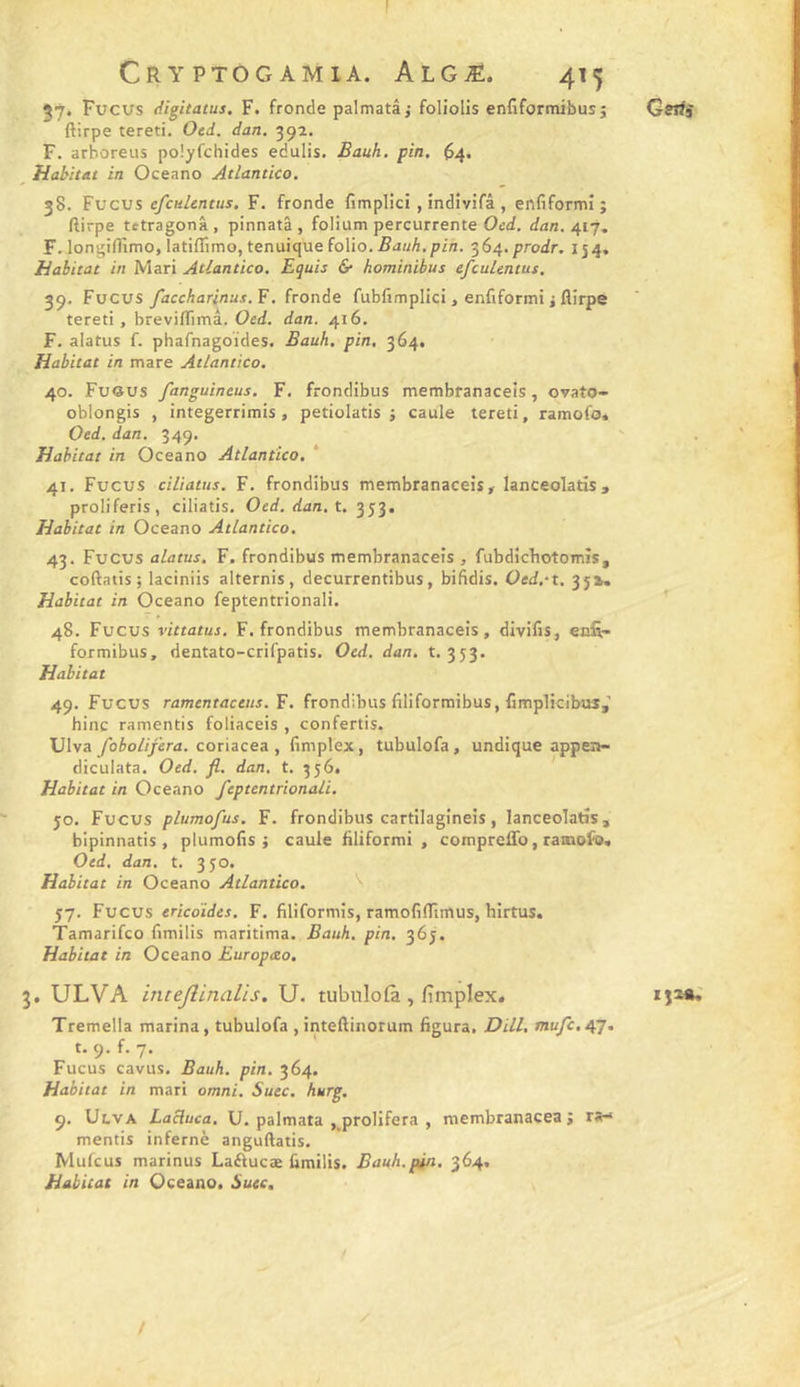 Fucus eiigitatus, F. fronde palmatâ,* foliolis enfiformibus; ftirpe tereti. Oed. dan. 392. F. arboreus poîyfchides edulis. Bauh, pin. ^4, ^ Habitat in Oceano Atlantico. 38. Fucus efculcntus. F. fronde fimplici, îndivifâ , enfiformi ; ftirpe tftragonâ, pinnatâ , folium percurrente Oed. dan. 417. F. longifllmo, latiflimo, tenuique folio.fiuu/i.p/n. 364.proir. 154. Habitat in Mari Atlantico. Equis &amp; hominibus efculcntus. 39. Fucus faccharinus.Y. fronde fubfimplici, enfiformi j ftirpe tereti, breviftimâ. Oed. dan. 416. F. alatus f. phafnagoides. Bauh. pin, 364. Habitat in mare Atlantico. 40. Fueus fanguincus. F. frondibus membranaceîs , ovato- oblongis , integerrimis , petiolatis j caule tereti, ramofo» Oed. dan. 349. Habitat in Oceano Atlantico. 41. Fucus ciliatus. F. frondibus membranaceis, lanceolatis, proliferis, ciliatis. Oed. dan. t. 353. Habitat in Oceano Atlantico. 43. Fucus alatus. F. frondibus membranaceis , fubdicbotomîs, coftatis; laciniis alternis, decurrentibus, bifidis. Oed,‘t. 3J». Habitat in Oceano feptentrionali. 48. Fucus vittatus. F. frondibus membranaceis, divifis, enfi,- formibus, dentato-crifpatis. Oed. dan. t. 353. Habitat 49. Fucus ramentaceus. F. frondibus filiformibus, fimplicibus,’ bine ramentis foliaceis , confertis. Ulva fobolijera. coriacea , fimplex, tubulofa, undique appen- diculata. Oed. fl. dan. t. 3564 ' Habitat in Oceano feptentrionali. JO. Fucus plumofus. F. frondibus cartilagineis, lanceolatis, bipinnatis , plumofis } caule filiformi , comprefTo, ramoFo* Oed. dan. t. 350. Habitat in Oceano Atlantico. \ 57. Fucus ericoides. F. filiformis, ramofiftimus, hirtus. Tamarifeo fimilis maritima. Bauh. pin. 365. Habitat in Oceano Europceo, 5. ULVA intejlimilis. U. tubulofa, fimplex. Tremella marina, tubulofa ,inteftinorum figura. Dill, mufc.tpj. t. 9. f. 7. Fucus cavus. Bauh. pin. 364. Habitat in mari omni. Suec. hurg. 9. Ulva LaBuca. U. palmata , proliféra , membranaceaj ra-* mentis infernè anguftatis. Mufeus marinus Laftucæ fimilis. Bauh.pin. 364, Habitat in Oceano. Suec. Gstis /