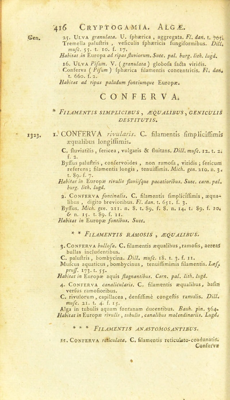 aj. Ulva granulata. U. fpliærica , aggregata. Fl. dan. t. ^oji Tremella paluftris , veficulis fphæricis fungiformibus. DHL, mufc. 55:. t. 10. f. 17. Habitat in Europa ad ripas fiuviorum. Suec. pal. hurg, lith, lugd, 16. UlvA Pifum, V. {granulata) globofa fafta viridis. Conferva ( Pifum ) fphærica filamentis concentricis. FU daiié t. 660. {. 1. Habitat ad ripas paludum fontiumque Europæ. CONFERVA. * Filamentis simplicibus , æqc/alibi/s , geniculis VESTITUTIS. I.'CONFERVA rivularis. C. filamentis fimpliciflîmîs æqualibus longiffimis. C. fluviatilis , fericea , vulgaris &amp; fltiitans. DHL mufc. 12. t. 2i f. i. Byffus paluftris, confervoïdes , non ramofa , viridis ; fericutn referens; filamentis longis , tenuiflimis. Af/cA. gen.aio.n.3. t- 89; fi 7- Habitat in Europæ rivulis fluviifque pacatioribus, Suec. carn.paU burg. lith. lugd. 2. Conferva fontinalis. C. filamentis fimplicîfllmis , æqua- libus , digito brevioribus. Fl. dan. t. 651. f. 3. Byffus, Mich. gen. 211. n. 8. t. 89. f. 8. n. 14. ti 89. f. XOi &amp; n. 15. t. 89. f. 11. Habitat in Europæ fontibus, SueCi * * Filamentis rAmosîs , æqvalibvs. 3. Conferva bullofa. C. filamentis æqualibus ,ramofis, aereaî bullas includentibus. C. paluftris , bombycina. DHL mufc. 18. t. 3. f. ii. Mufcus aquaticus , bombycinus, tenuiffimimis filamentis. iæ/ii I73.t. J5. Habitat in Europæ aquis fiagnantibus. Carn. pal. lith. lugd. 4. Conferva canalicularis. C. filamentis æqualibus, bafin verfus ramofioribus. C. rivulorum, capillacea , denfiflimè congeftis ramulis. DHL mufc. 21. t. 4. î. Alga in tubulis aquam fontanam ducentibus. Bauh. pin. 364. Habitat in Fatops: rivulis ^ tubulis, canalibus molendinariis. Lugd^ * ^ * Filamentis anastomosantibus. l'i. Conferva reticulata, C. filamentis reticulato-coadunatis. ConferVï