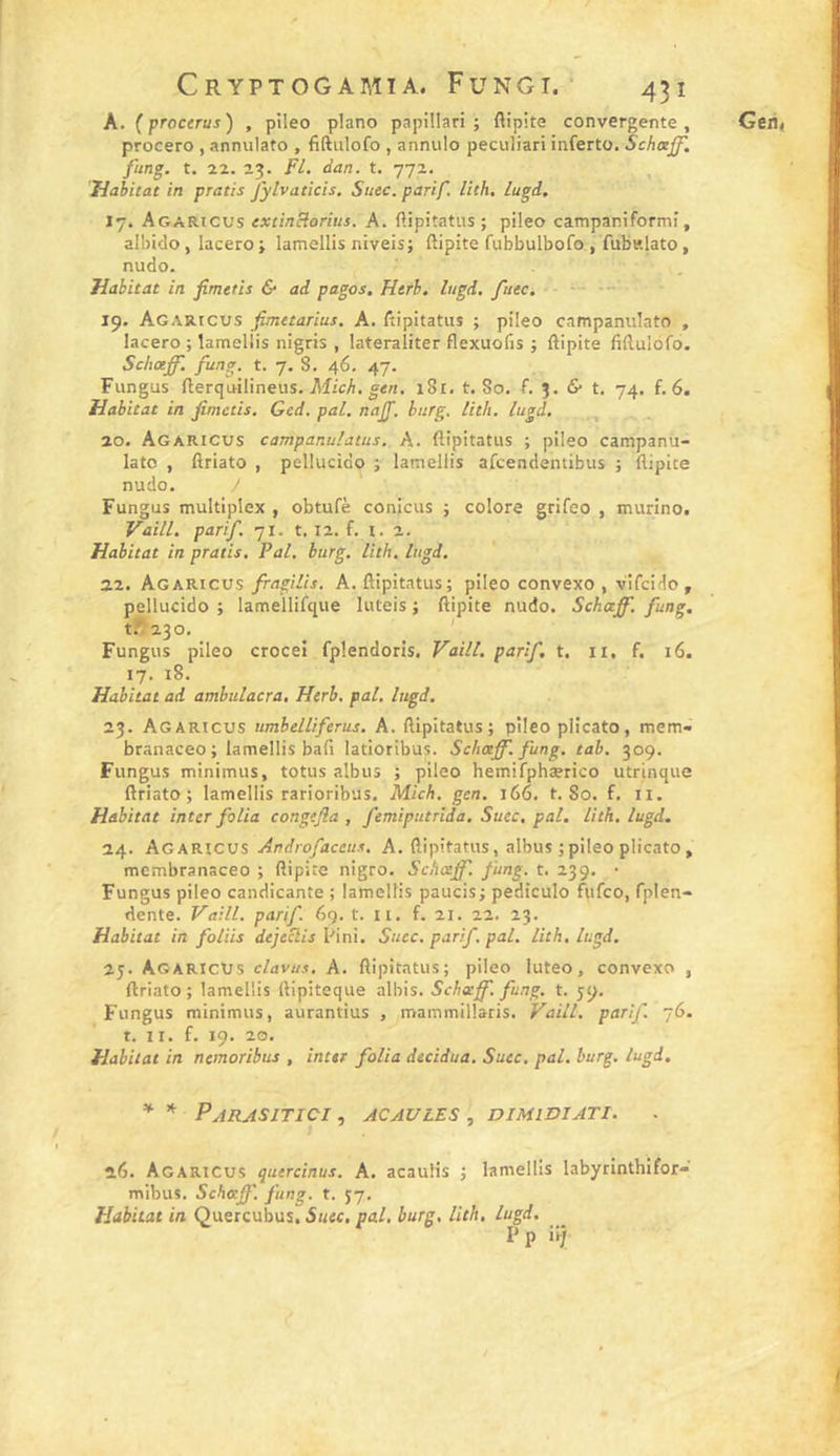 A. (procerus) , pileo piano papillari ; flipite convergente, procero , annulato , fiftulofo , anniilo peculiari inferto. Schoeff'. fung. t. 22. 23. Fl. dan. t. 772. , I7. Agaricus extinclorius. A. ftipitatus ; pileo campaniformi, albido, lacero ; lamellis niveis; ftipite fubbulbofo, fubslato, nudo. 19. Agaricus fimetarius. A. liipitatiis ; pileo campanulato , lacero ; lamellis nigris , lateraliter flexuolis ; ftipite fiftulofo. Schoeff. fung. t. 7. 8, 46. 47. Fungus fterquilineus. Affc/r. i8r, t. 80. f. j. &amp; t. 74. f. 6. 20. Agaricus campanulatus. A. flipitatus ; pileo campanu- lato , ftriato , pellucido ; lamellis afeendentibus ; flipite nudo. ^ Fungus multiplex , obtufè conicus ; colore grifeo , murino. Vaill. parif. 71. t. 12. f. i. 2. 22. Agaricus fragilis. A. flipitatus; pileo convexo , vifeido , pellucido ; lamellifque luteis ; flipite nudo. Schaff. fung. 1.^230. ' Fungus pileo croceî fplendoris. P^aill. parif. t. n. f. 16. 17. 18. Habitat ad ambulacra, Herb. pal, lugd. 23. Agaricus umbelliferus. A. flipitatus; pileo plicato, mem- branaceo; lamellis bafi latioribus. Schaff. fung. tab. 309. Fungus minimus, totus albus ; pileo hemifphærico utrinque ftriato; lamellis rarioribus. Mich. gcn. 166. t. So. f. ii. Habitat inter folia congejîa , femiputrida. Suec, pal, lith. lugd, 24. Agaricus Androfaceus, A. flipitatus, albus ; pileo plicato, mcmbranaceo ; ftipite nigro. Schaff. fung. t. 239. • Fungus pileo candicante ; lamellis paucis; pediculo fufco, fplen- dente. Vaill. parif. 69. t. ii. f. 21. 22. 23. Habitat in foliis dejeclis Fini. Suec. parif. pal, lith, lugd. 25. Agaricus clavus, A. flipitatus; pileo luteo, convexo , ftriato; lamellis flipiteque albis. Schaff. fung. t. 59. Fungus minimus, aurantius , mainmillaris. Vaill. parif 76. Habitat in nemoribus , inter folia decidua. Suec. pal. burg. lugd. * * PaRASITICI , AC AV LES , DIMWIATI. 26. Agaricus quercinus. A. acauHs ; lamellis labyrinthifor- mibus. Schaff. fung. t. 37. Habitat in Quercubus, Suec, pal, burg, lith, lugd. P P nj Geii,