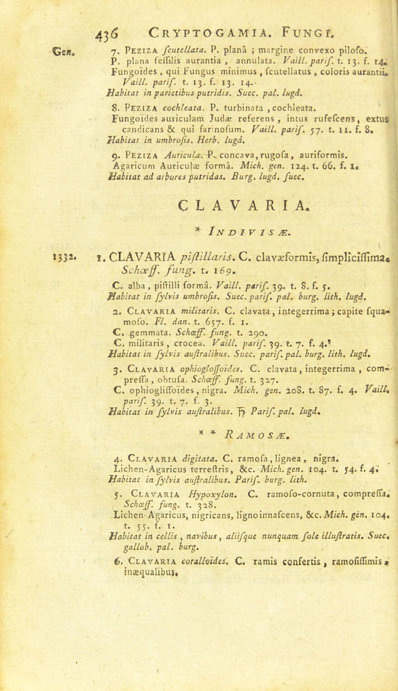 43 CeJl, ?• Peziza fcutellata. P. plana ; margine convexo pilofo. P. plana felPilis aurantia , annulata. VailL. parif. t. 13. f. 14^ Fungoïdes , qui Fungus minimus , fciUellatus , coloris aurantii, VaiLl. parif. t. 13. f. 13. 14,. Habitat in parictibus putridis. Suec. pal. lugd. 8. Peziza cochleata. P. turbinata , cochleata. ' Fungoides auticulam Judse referens , intus rufefcens, extu$ candicans &amp; qui far'nofum. Faiil. parif. 57. t. 11. f. 8, Habitat in umbrofis. Herb. lugd. 9. Peziza ^ur;c«/<r. P» concava, rugofa, auriformis. Agaricum Auriculæ forma. Mich. gen. 124. t. 66. f. li Habitat ad aibores putridas. Burg, lugd. fuec. C L A V A R I A. * In d I V I s æ. l *332* f.CLAVARlA C. clavæformîs,/împlicîffiraa* Schœff. fung. t. 169. C. alba , piftilli forma. Vaill, parif. 39. t. S. f. j. ' Habitat in fylvis umbrofis. Susc. parif. pal. burg. lith. lugd. 2. Clavaria militaris. C. clavata, integerrima ; capite fqua* mofo. Fl. dan. t. 657. f. i. C. gemmata. Schxff. fung. t. 290. C. militaris , crocea. Vaill. parif. 39. t. 7. f. 4,* Habitat in fylvis aufiraiihus. Suec. parif. pal. burg. lith. lugd, 3. Clavaria ophiogloffoïdcs. C. clavata, integerrima , com- prelTa, obtufa. Schœff. fung. t. 327. C. ophiogliffoides, nigra. Mich. gen. 20S. t. 87. f. 4. Vaill, parif. 39. t, 7. f. 3. Habitat in fylvis aufiraiihus. Vf Parif. pal. lugd, * R AM O S Æ, 4. Clavaria digitata. C. ramofa, lignea, nigra. Lichen-Agaricus terreftris, &amp;c. Mich. gen. 104. t. 54. f. 4; Habitat in fylvis aufiralibus. Parif. burg. lith. 5. Clavaria Hypoxylon. C. ramofo-cornuta, comprefla,' Schœff. fung. t. 32S. Lichen Agaricus, nigricans, lignoir.nafcens. Sic. Mich. gén. 104, t- 55- f- I* . . O Habitat in cellis , navibus, aliifque nunquam foie illufiratis, Suec, gallob. pal. burg. I é. Clavaria coralloîdes. C. Tarais confertis , ramolïflimis 4 inæqualibust