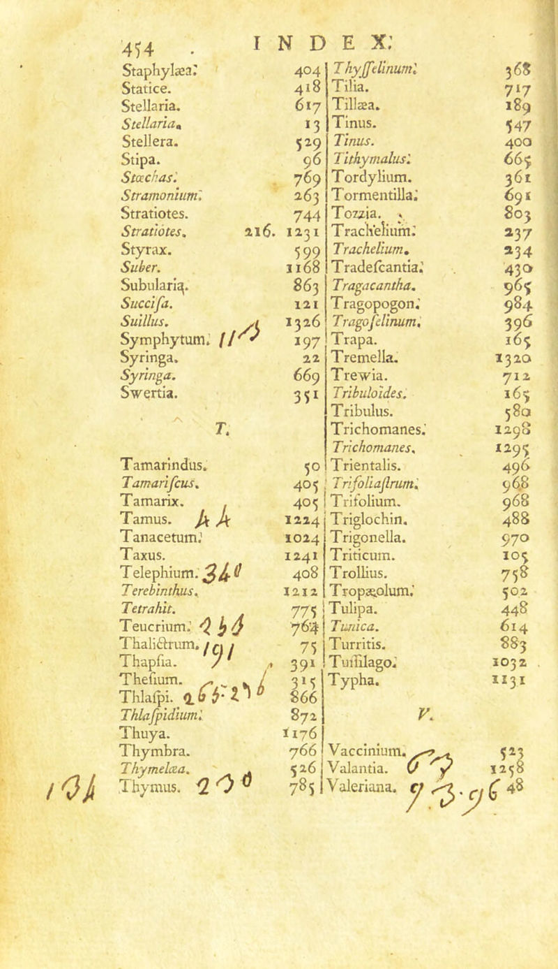 4’)4 . StapKylæar ' Statice. Stellaria. Stellaria» Stellera. Stipa. Stœchas'. Stramonium'. Stratiotes. Stratiotes. ai 6. Styrax. Suber. Subulari^. Succîfa. Suillus. y! Symphytum.' (1^^ Syringa. Syrïnga, Swertia. ^ r. Tamarindus. Tamarïfcus, Tamarix. . Tamus. pi Pc Tanacetum.’ Taxus. T elephium. Terebinthusy Te trahit. Teucrium.’ ^ ^ Thaliarum./ci/ 1 hapiia. / ^ Thefium. ^ ^ . / Thlafpi. 0.6^2^^ Thlafpidiuml Thuya. Thymbra. Thymelcta, ' . Thymus. ^ O ® index; T hyjfelînuml TiÜa. Tillæa. Tinus. Tinus. Tithymalusl Tordylium. Tormentilla; Tozzia. V Tracheîium; Trachellum, Tradefcantia.' Tragacantha. Tragopogon,’ Tragofdinum, Trapa. Tremella. Trewia. Trlbuloides. Tribulus. Trichomanes.’ Trichomanes, Trientalis. 405 ; Trifoliajlrum'. 405 ! Trifolium. 404 418 617 *3 529 96 769 263 744 1231 599 1168 863 121 1326 197 22 669 351 50 1224 ÏO24 1241 408 1212 775 764 75 391 3»5 866 872 1176 766 526 785 Triglochin. Trigonella. Triticum. Trollius. TropseLoIum.’ Tulipa. Tmica. Turritis. Tuililago.’ ' Typha. V. Vaccinium. Valantîa. 0 y Valeriana. fi 36S 717 189 547 400 66ç 361 691 803 237 334 430 965 984 396 163 1320 712 58a 1298 1293 496 96.8 968 488 970 103 758 50,2 448 614 883 1032 II3I Ç22 '48