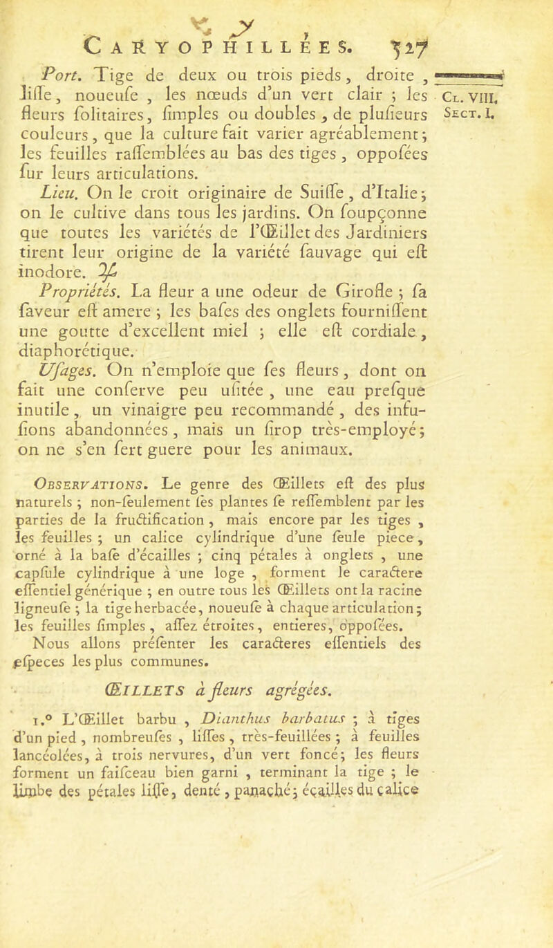 Port. Tige de deux ou trois pieds, droite , Jide, noueufe , les nœuds d’un vert clair ; les Cl. Vlli. fleurs folitaires. Amples ou doubles , de plufîeurs Sect. L couleurs, que la culture fait varier agréablement ; les feuilles raflemblées au bas des tiges , oppofées fur leurs articulations. Liai. On le croit originaire de Suifle, d’Italie; on le cultive dans tous les jardins. On foupçonne que toutes les variétés de l’CEillet des Jardiniers tirent leur origine de la variété fauvage qui efi: inodore. ^ Propriétés. La fleur a une odeur de Girofle ; fa faveur eft amere ; les bafes des onglets fourniflent une goutte d’excellent miel ; elle efl: cordiale , diaphorétique. tJfages. On n’emploie que fes fleurs, dont on fait une conferve peu ulitée , une eau prelque inutile, un vinaigre peu recommandé , des infu- flons abandonnées, mais un firop très-employé; on ne s’en fert guere pour les animaux. Observations. Le genre des Œillets eft des plus naturels ; non-lêulement lès plantes fe reflemblent par les parties de la fruâlfication , mais encore par les tiges , les feuilles ; un calice cylindrique d’une lèule piece, orné à la balè d’écailles ; cinq pétales à onglets , une capfule cylindrique à une loge , forment le caraftere eflentiel générique ; en outre tous les Œillets ont la racine ïigneulè ; la tigeherbacée, noueulè à chaque articulation; les feuilles fimples , aflez étroites, entières, oppofées. Nous allons prélènter les caraderes elfentiels des ^Ipeces les plus communes. Œillets à jlcurs agrégées. I.® L’Œillet barbu , Dianthus barbatics ; à tiges d’un pied , nombreufes , liftes , très-feuillées ; à feuilles lancéolées, à trois nervures, d’un vert foncé; les fleurs forment un faifceau bien garni , terminant la tige ; le Utphe des pétales liflè, denté , panaché; éça.Ules du calice