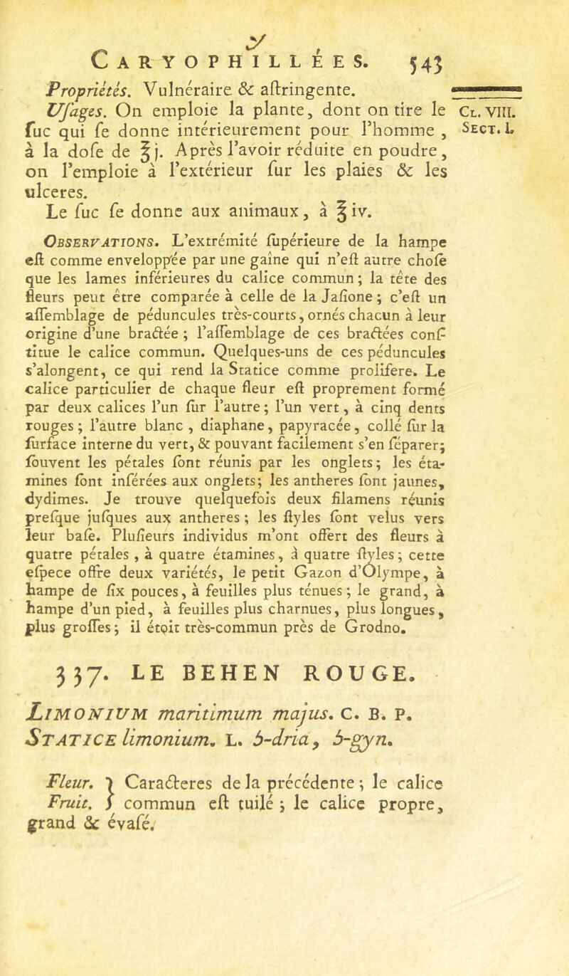 Propriétés. Vulnéraire & aftringente. Ufages. On emploie la plante, dont on tire le fuc qui fe donne intérieurement pour l’homme , à la dofe de ^), Après l’avoir réduite en poudre, on l’emploie à l’extérieur fur les plaies & les ulcérés. Le fuc fe donne aux animaux, à ^ iv. OsSERVATiONS. L’extrémité fùpérieure de la hampe ell comme enveloppée par une gaine qui n’eft autre choie que les lames inférieures du calice commun ; la tête des fleurs peut être comparée à celle de la Jalîone ; c’eft un aflemblage de péduncules très-courts, ornés chacun à leur origine d’une braéiée ; l’alTemblage de ces bradées conP titue le calice commun. Quelques-uns de ces péduncules s’alongent, ce qui rend la Statice comme proliféré. Le calice particulier de chaque fleur eft proprement formé par deux calices l’un lur l’autre ; l’un vert, à cinq dents rouges ; l’autre blanc , diaphane, papyracée, collé lîir la fiirface interne du vert, & pouvant facilement s’en féparer; fôuvent les pétales font réunis par les onglets; les éta- mines font inférées aux onglets; les anthères font jaunes, dydimes. Je trouve quelquefois deux filamens réunis prefque jufques aux anthères ; les flyles font velus vers leur bafe. Plufieurs individus m’ont offert des fleurs à quatre pétales , à quatre étamines, d quatre flyles ; cette efpece offre deux variétés, le petit Gazon d’Olympe, à hampe de fîx pouces, à feuilles plus ténues; le grand, à hampe d’un pied, à feuilles plus charnues, plus longues, plus groffes; il étpit très-commun près de Grodno. 357. LE BEHEN ROUGE. LlMONlUM maritimum majus, C. B. P. Statice limonium, L. b-dria, b-gyn. Fleur. ■) Caraéteres de la précédente ; le calice Fruit. J commun eft tuilé ; le calice propre, grand <3c évafé. Cl. VIII. Sect.L