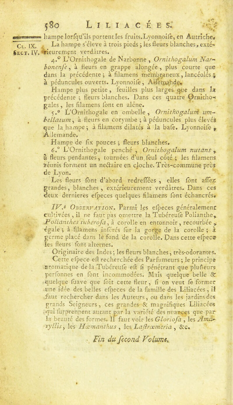 hampe lorfqü’ils portent les fruits.Lyonnoifè, en Autriche* Ci.. IX. * h.a hampe s’élève à trois pieds les fleurs blanches, exté- Sect. IV. •*rieurement verdâtres. 4. ® L’Ornithogale de Narbonne , Ornithogalum Nar- bonenj'e ^ à fleurs en grappe alongée, plus courte que dans la précédente \ à filamens membraneux, lancéolés ; à péduncules ouverts. Lyonnoilê, Alleip^Jhdçi, • Hampe plus petite, feuilles plus larges- q-ue dans la précédente ; fleurs blanches. Dans ces quatre Ornitho-* gales, les filamens font en alêne. 5. ® L’Ornithogale en ombelle, Ornithogalurtî um- helLatum, à fleurs en coryrnbe ; à péduncules plus élevéà que la hampe-, à filamens dilatés à la balè. Lyonnoile , Allemande. Hampe de fix pouces ; fleurs blanches. 6° L’Ornithogale penché , Ornithogalum nutans, à fleurs pendantes, tournées d’un.leul côté ; les filamens ïéunis forment un nectaire en cloche. Très-commune près de Lyon. Les fleurs font d’abord redreffées , elles font aflèr grandes, blanches , extérieurement verdâtres. Dans ces deux dernieres elpeces quelques filamens font échancrés* Observation. Parmi Içs elpeces généralement cultivées , il ne faut pas omettre la Tubéreulè Polianthe, J^oiiatiihes tuherofa, B corolle en entonnoir , recourbée y égale ; à filamens .inférés fiir la gorge de la corolle ; k germe placé dans le fond de la corolle. Dans cette efpecs les fleurs font alternes. Originaire des Indes-, les fleurs blanches, très-odorantes. Cette elpece eft recherchée des Parfumeurs ; le principe srcmatique delà Tubéreufè eft fi pénétrant que plufieurs perfonnes en font incommodées. Mais quelque belle & quelque fiiave que fôit cette fleur, fi on veut Ce former • une idée des belles efpeces de la famille des Liliacées, il Laut rechercher dans les Auteurs, ou dans les Jardins des grands Seigneurs, ces grandes & magnifiques Liliacées -nui furprennent autant par la variété des nuances que par la beauté des formes. If faut voir les GLoriofa , les Arndi^ ryllisy les Hczmanthus y \cs Lafirœmeria y &c. • Fin du fccond Volumt^