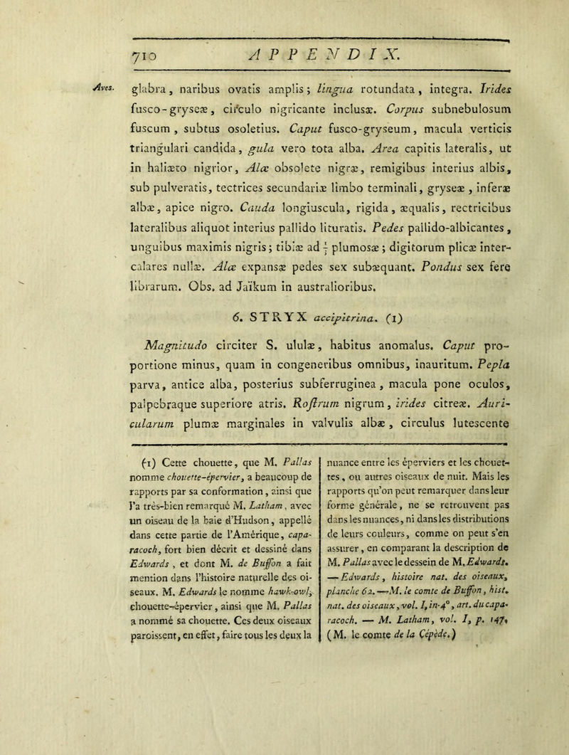 Aves. glabra, naribus ovatis amplis ; l'ingua rotundata , integra. Irides fusco- gryseæ, cifculo nigricante inclusæ. Corpus subnebulosum fuscum , subtus osoletius. Cuput fusco-gryseum, macula verticis triangulari candida, gula vero tota alba. Area capitis lateralis, ut in haliæto nigrior, Alcc obsolète nigræ, remigibus interius al bis, sub pulveratis, tectrices secundariæ limbo terminali, gryseæ , inferæ albæ, apice nigro. Cauda longiuscula, rigida , æqualis, rectricibus lateralibus aliquot interius pallido lituratis. Pedes pailido-albicantes , unguibus maximis nigris ; tibiæ ad j plumosæ ; digitorum plicæ inter- calares nullæ. Alcc. expansæ pedes sex suhæquant. Pondus sex fere librarum. Qbs, ad Jaïkum in australioribus. <5. STRYX accipltrina. (i) Magnïtudo circiter S. ululæ, habitus anomalus. Caput pro- portione minus, quam in congeneribus omnibus, inauritum. Pépia parva, antice alba, posterius subferruginea , macula pone oculos, palpcbraque superiore atris, Rojlrum nigrum, irides citreæ. Auri- cularum plumæ marginales in valvulis albæ, circulus lutescente (i) Cette chouette, que M. Pallas nomme choverte-épervier, a beaucoup de rapports par sa conformation, ainsi que i’a très-bien remarqué M. Latham, avec un oiseau de la baie d’Hudson, appelle dans cette partie de l’Amérique, capa- racoch, fort bien décrit et dessiné dans Edwards , et dont M. de Buffon a fait mention dans l’histoire naturelle dçs oi- seaux. M. Edwards le nomme hawk-owl, chouette-épervier, ainsi que M, P allas a nommé sa chouette. Ces deux ciseaux paroissent, en effet, faire tous les deux la nuance entre les éperviers et les chouet- tes , ou autres oiseaux de nuit. Mais les rapports qu’on peut remarquer dans leur forme générale, ne se retrouvent pas dans les nuances, ni dans les distributions de leurs couleurs, comme on peut s’en assurer, en comparant la description de M. P allas avec le dessein de M. Edwards. — Edwards y histoire nat. des oiseaux, planche 62. —» M. le comte de Buffon, hist* nat. des oiseaux, vol. 7, in-4°, art. du cap a• racoch. — M. Latham, vol. I, p. 147, (M. le comte de la Çépède.)