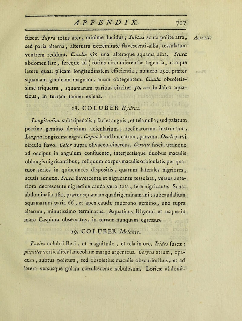 fuscæ. Supra totus ater, minime lucidus ; Sultus scuta polite atra, sed paria alterna, alterutra extremitate flavescenti-alba, tessulatum ventrem reddunt. Caudœ vix una alteraque squama alba. Scuta abdomen late , fereque ad y totius circumferentiæ tegentia, utroque latere quasi pliçam longitudinalem efficientia, numéro ipo, præter squamam geminam magnam , anum obtegentem. Cauda obsoîetis*» sime triquetra , squamarum paribus circiter 50. ■— In Jaïco aqua- ticus, in terram tamen exiens, 18. CO LU B ER Hjydrus. Longitudino subtripedalis ; faciès angu is, et tela nulla ; sed palatu m pectine gemino dentium acicularium , reclinatorum instructum » JLingua longissima nigra. Caput haud buccatum, parvum. Oculi parvi circulo flavo. Color supra olivaceo cinereus. Cervix fascia utrinque ad occiput in angulum confluente, interjectisque duobus maculis oblongis nigricantibus ; reliquum corpus maculis orbiculatis per qua- tuor sériés in quincunces dispositis , quarum latérales nigriores, scutis adnexæ. Scuta flavescente et nigricante tessulata, versus ante- riora decrescente nigredine cauda vero tota , fere nigricante. Scuta abdominalia 180, præter squamam quadrigeminamani ; subcaudalium squamarum paria 66 , et apex caudæ mucrono gemino, uno supra alterum, minutissimo terminatus. Aquaticus Rhymni et usque in mare Caspium observatus, in terram nunquam egressus, 19. COLUBER Melanis. Faciès colubri Beri , et magnitudo , et tela in ore. Irides fuscæ ; pupillœ verticaliter lanceolatæ margo argenteus. Corpus atrum , opa- cum , subtus poîitum, sed cbsoietius maculis obscurioribus, et ad latera versusque gularn cœruîescente nebulosum, Loricæ abdomi- Amphlbi.«.