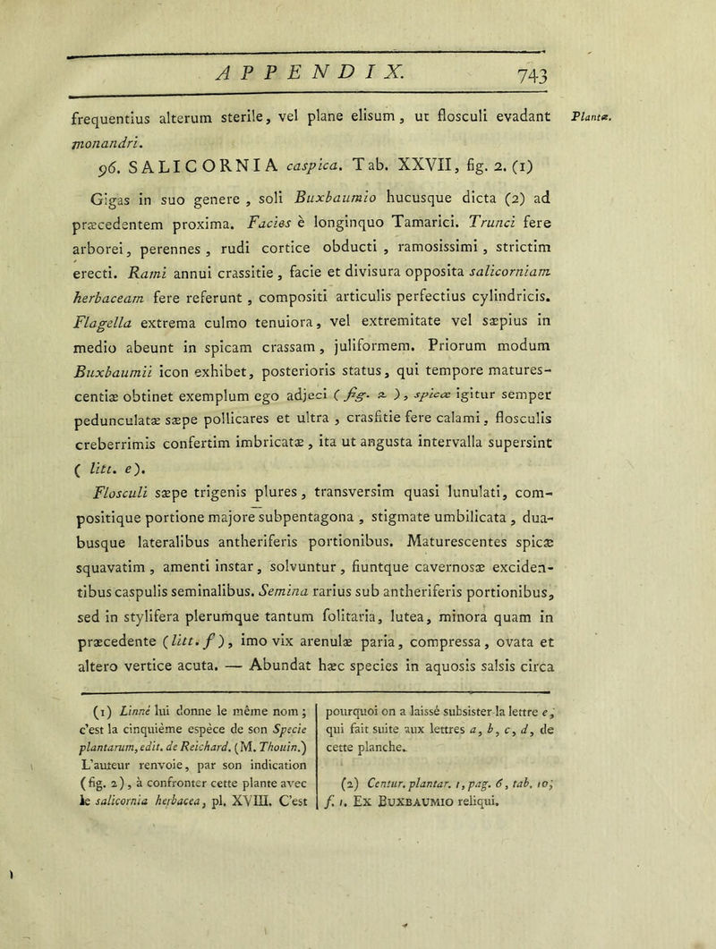 jnonandri. Gigas in suo genere , soli Buxbaumio hucusque dicta (2) ad præcedentem proxima. Faciès è longinquo Tamarici. Trunci fere arborei, perennes , rudi cortice obducti , ramosissimi , strictim erecti. Kami annui crassitie , facie et divisura opposita salicorniam herbaceam fere referunt , compositi articulis perfectius cylindricis. Flagella extrema culmo tenuiora, vel extremitate vel sæpius in medio abeunt in spicam crassam , juliformem. Priorum modum Buxbaumii icon exhibet, posterioris status, qui tempore matures- centiæ obtinet exempîum ego adjecî 1 fig- a ), spïcœ igitur semper pedunculatæ sæpe pollicares et ultra , crasfitie fere calami, flosculis creberrimis confertim imbricatæ , ita ut angusta intervalla supersint ( litt. e~). Flosculi sæpe trigenis plures, transversim quasi lunulati, com- positique portione majore subpentagona , stigmate umbilicata , dua- busque lateralibus antheriferis portionibus. Maturescentes spicæ squavatim , amenti instar, solvuntur , fiuntque cavernosæ exciden- tibus caspulis seminalibus. Semina rarius sub antheriferis portionibus, sed in stylifera plerumque tantum folitaria, lutea, minora quam in præcedente (litt.f ), imo vix arenulæ paria, compressa, ovata et altero vertice acuta. — Abundat hæc species in aquosis saisis circa (1) Linné hii donne le même nom ; c’est la cinquième espèce de son Specie plantarum, edït. de Reichard. (M. Thouin.) L’auteur renvoie, par son indication (fig. 2), à confronter cette plante avec le salicornla herbacea, pl. XVIII. C’est pourquoi on a laissé subsister la lettre c, qui fait suite aux lettres a,b,c,d, de cette planche» (2.) Cenîur. plantar. t,pag. 6, tab, 10 f, 1. Ex Buxbaumio reliqui.