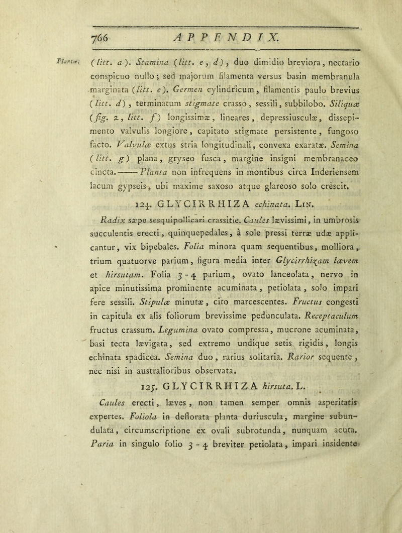 Plartœ, (litt. a). Stanùna (litt. e, d) , duo dimidio breviora, nectario conspicuo nullo ; sed majoriim filamenta versus basin membranula marginata (Hit. e). Germen cylindricum , fïlamentis paulo brevius ( litt. d) ) terminatum stigmate crasso, sessili, subbilobo. Siliquaz ( fig. 2-, litt. f) Iongissimæ , lineares , depressiuscuîæ, dissepi- mento valvulis longiore, capitato stigmate persistente , fungoso facto. Valvulce evtus stria longitudinaîi, convexa exaratae. Semina (litt. g) plana, gryseo fusca, margine insigni membranaceo cincta. Planta non infrequens in montibus circa Inderiensem îaeum gypseis, ubi maxime saxoso atque glareoso solo créscit. 12-j.. G L Y C I R R H IZ A echinata. Lin. R.adix sx’pe sesquipollicari crassitie. Cailles lævissimi, in umbrosis succulentis erecti, quinquepedales, à sole pressi terrae udæ appli- * cantur, vix bipebales. Folia minora quam sequentibus, molliora, trium quatuorve parium, figura media inter Glycirrhi^am lœvetn et hirsutam. Folia 3-4 parium,, ovato lanceolata, nervo in apice minutissima prominente acuminata, petiolata , solo impari fere sessili. Stipula: minutæ, cito marcescentes. Fructus congesti in capitula ex alis foliorum brevissime pedunculata. Receptaculum fructus crassum. Legumina ovato compressa, mucrone acuminata, basi tecta lævigata, sed extremo undique setis rigidis, longis echinata spadicea. Semina duo, rarius solitaria, Rarior sequente } nec nisi in australioribus observata. 12 p. GLYCIRRHIZA hirsuta. L. Caules erecti, læves , non tamen semper omnis asperitatis expertes. Foliola in deflorata planta duriuscula, margine subun- dulata, circumscriptione ex ovali subrotunda, nunquam acuta. Paria in singulo folio 3-4 breviter petiolata, impari insidente