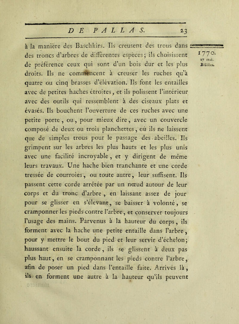 zJ à la manière des Baschkirs. Ils creusent des trous dans des troncs d’arbres de différentes espèces; ils choisissent I77°* 17 mai. de préférence ceux qui sont d’un bois dur et les plus Béiéke*. droits. Ils ne commencent à creuser les ruches qu’à quatre ou cinq brasses d’élévation. Ils font les entailles avec de petites haches étroites, et ils polissent l’intérieur avec des outils qui ressemblent à des ciseaux plats et évasés. Ils bouchent l’ouverture de ces ruches avec une petite porte , ou, pour mieux dire, avec un couvercle composé de deux ou trois planchettes, cil ils ne laissent que de simples trous pour le passage des abeilles. Ils grimpent sur les arbres les plus hauts et les plus unis avec une facilité incroyable, et y dirigent de meme leurs travaux. Une hache bien tranchante et une corde tressée de courroies, ou toute autre, leur suffisent. Ils passent cette corde arrêtée par un nœud autour de leur corps et du tronc d’arbre , en laissant assez de jour pour se glisser en s’élevant, se baisser à volonté, se cramponner les pieds contre l’arbre, et conserver toujours l’usage des mains. Parvenus à la hauteur du corps, ils forment avec la hache une petite entaille dans l’arbre , pour y mettre le bout du pied et leur servir d’échelon; haussant ensuite la corde, ils se glissent à deux pas plus haut, en se cramponnant les pieds contre l’arbre, afin de poser un pied dans l’entaille faite. Arrivés là, ils en forment une autre à la hauteur qu’ils peuvent