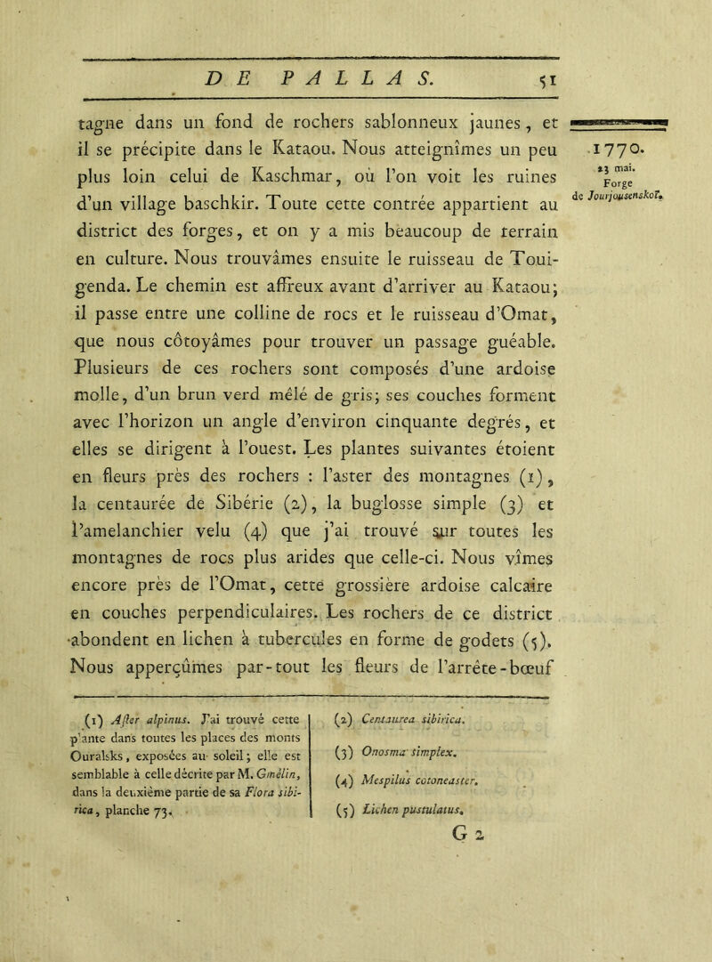 tagne dans un fond de rochers sablonneux jaunes, et il se précipite dans le Kataou. Nous atteignîmes un peu plus loin celui de Kaschmar, où l’on voit les ruines d’un village baschkir. Toute cette contrée appartient au district des forges, et on y a mis beaucoup de terrain en culture. Nous trouvâmes ensuite le ruisseau de Toui- genda. Le chemin est affreux avant d’arriver au Kataou; il passe entre une colline de rocs et le ruisseau d’Omat, que nous côtoyâmes pour trouver un passage guéable. Plusieurs de ces rochers sont composés d’une ardoise molle, d’un brun verd mêlé de gris; ses couches forment avec l’horizon un angle d’environ cinquante degrés, et elles se dirigent à l’ouest. Les plantes suivantes étoient en fleurs près des rochers : l’aster des montagnes (i), la centaurée de Sibérie (2), la buglosse simple (3) et Pamelanchier velu (4) que j’ai trouvé $nr toutes les montagnes de rocs plus arides que celle-ci. Nous vîmes encore près de l’Omat, cette grossière ardoise calcaire en couches perpendiculaires. Les rochers de ce district •abondent en lichen à tubercules en forme de godets (5). Nous apperçûmes par-tout les fleurs de l’arrëte-bœuf 1770. *3 mai. Forge de Jourjuusenskou U (1) A (1er alpinus. J’ai trouvé cette p’ante dans toutes les places des monts Ouralsks, exposées au soleil ; elle est semblable à celle décrite par M. Gmèlin, dans la deuxième partie de sa Flora sibi- rka, planche 73. (2) Ce maure a sibirica. (3) Onosma simplex. (4) Mespilus cotoneaster. (3) Lichen pustulatus. G 2 \