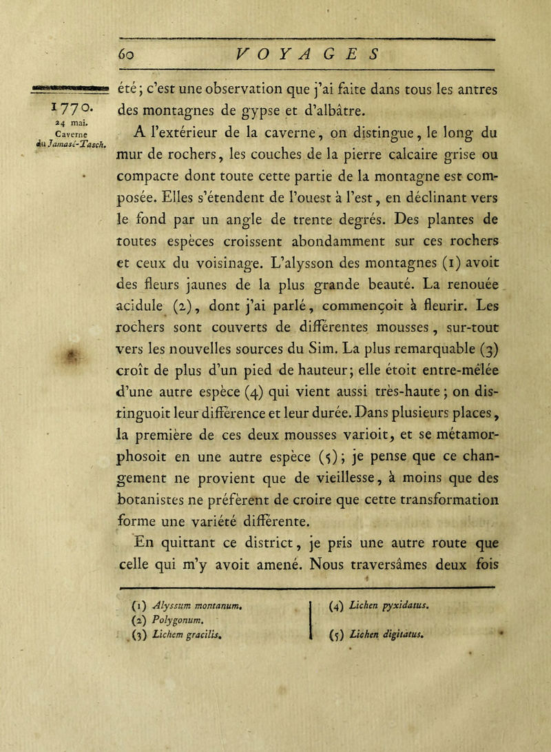 1770. 24 mai. Caverne alu Jamasc-Tasçh. été ; c’est une observation que j’ai faite dans tous les antres des montagnes de gypse et d’albâtre. A l’extérieur de la caverne, on distingue, le long du mur de rochers, les couches de la pierre calcaire grise ou compacte dont toute cette partie de la montagne est com- posée. Elles s’étendent de l’ouest à l’est, en déclinant vers le fond par un angle de trente degrés. Des plantes de toutes espèces croissent abondamment sur ces rochers et ceux du voisinage. L’alysson des montagnes (1) avoit des fleurs jaunes de la plus grande beauté. La renouée acidulé (2), dont j’ai parlé, commençoit à fleurir. Les rochers sont couverts de différentes mousses, sur-tout vers les nouvelles sources du Sim. La plus remarquable (3) croît de plus d’un pied de hauteur; elle étoit entre-mêlée d’une autre espèce (4) qui vient aussi très-haute ; on dis- tinguoit leur différence et leur durée. Dans plusieurs places, la première de ces deux mousses varioit, et se métamor- phosoit en une autre espèce (5) ; je pense que ce chan- gement ne provient que de vieillesse, à moins que des botanistes ne préfèrent de croire que cette transformation forme une variété différente. En quittant ce district, je pris une autre route que celle qui m’y avoit amené. Nous traversâmes deux fois (1) Alyssum montanum. (2) Polygonum. (3) Lic/iem gracilis. (4) Lichen pyxidatus. (5) Lichen digitatus.