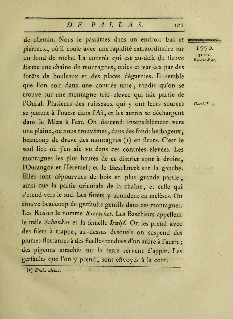 DE P A L L A S. IOI 31 mai. Rivière Ouval-Taou. de chemin. Nous le passâmes dans un endroit bas et pierreux, où il coule avec une rapidité extraordinaire sur 177°* un fond de roche. La contrée qui est au-delà du fleuve forme une chaîne de montagnes, unies et variées par des forêts de bouleaux et des places dégarnies. Il semble que l’on soit dans une contrée unie , tandis qu’on se trouve sur une montagne très-élevée qui fait partie de l’Oural. Plusieurs des ruisseaux qui y ont leurs sources se jettent à l’ouest dans l’Aï, et les autres se déchargent dans le Miæs à l’est. On descend insensiblement vers une plaine, où nous trouvâmes, dans des fonds herbageux, beaucoup de drave des montagnes (1) en fleurs. C’est le seul lieu où j’en aie vu dans ces contrées élevées. Les montagnes les plus hautes de ce district sont à droite, l’Ourangoé et l’Iérémel ; et le Bæschmæk sur la gauche. Elles sont dépourvues de bois en plus grande partie , ainsi que la partie orientale de la chaîne, et celle qui s’étend vers le sud. Les forêts y abondent en mélèses. On trouve beaucoup de gerfaults gentils dans ces montagnes. Les Russes le nomme Kretscha. Les Baschkirs appellent le male Schonkar et la femelle JtŒÏjé. On les prend avec des filets à trappe, au-dessus desquels on suspend des plumes flottantes à des ficelles tendues d’un arbre à l’autre ; des pigeons attachés sur la terre servent d’appât. Les gerfaults que l’on y prend, sont envoyés à la cour. (1) Draba alpina. i