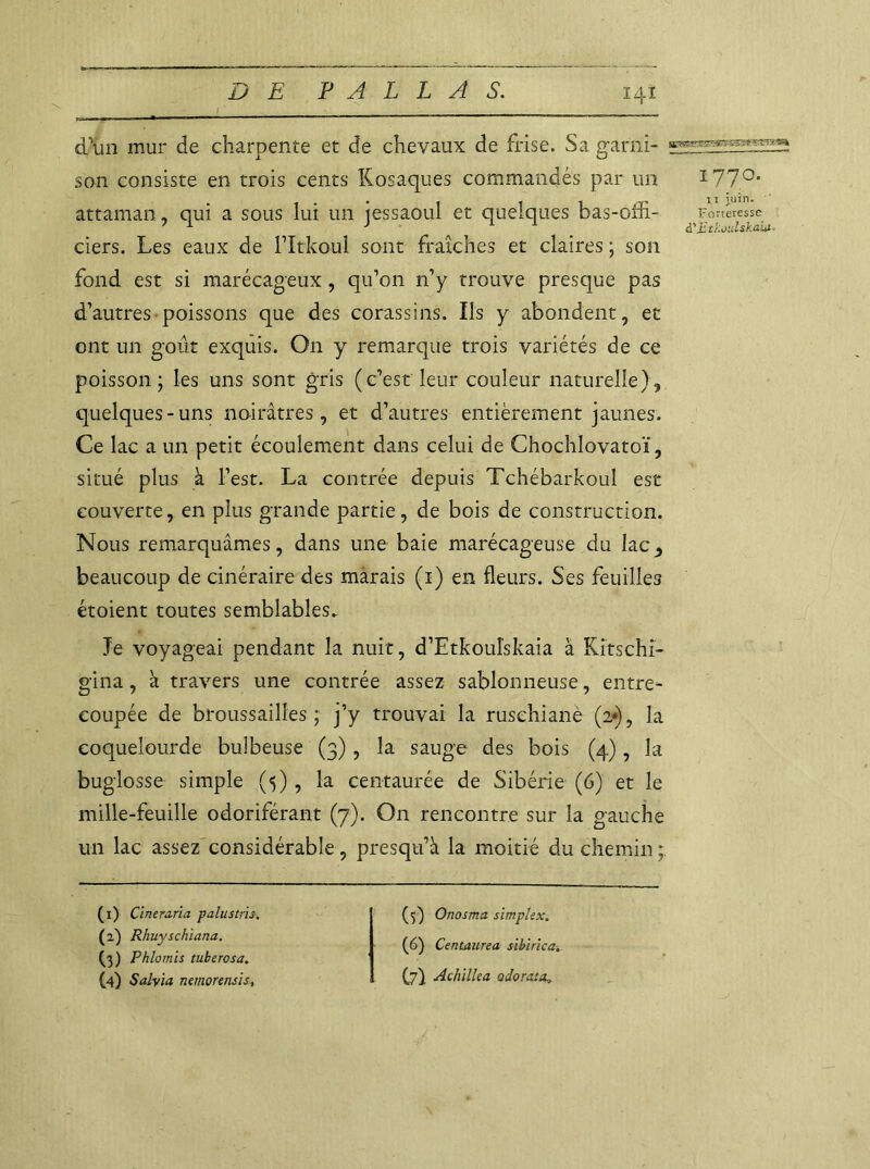 d'un mur de charpente et de chevaux de frise. Sa garni- son consiste en trois cents Kosaques commandés par un attaman, qui a sous lui un jessaoul et quelques bas-offi- ciers. Les eaux de l’Itkoul sont fraîches et claires ; son fond est si marécageux, qu’on n’y trouve presque pas d’autres poissons que des corassins. Ils y abondent, et ont un goût exquis. On y remarque trois variétés de ce poisson; les uns sont gris (c’est leur couleur naturelle), quelques-uns noirâtres, et d’autres entièrement jaunes. Ce lac a un petit écoulement dans celui de Chochlovatoï, situé plus à l’est. La contrée depuis Tchébarkoul est couverte, en plus grande partie, de bois de construction. Nous remarquâmes, dans une baie marécageuse du lac, beaucoup de cinéraire des marais (i) en fleurs. Ses feuilles étoient toutes semblables. Je voyageai pendant la nuit, d’Etkoulskaia à Kîtschi- gina, à travers une contrée assez sablonneuse, entre- coupée de broussailles; j’y trouvai la rusehianè (a*), la eoquelourde bulbeuse (3), la sauge des bois (4), la buglosse simple (5), la centaurée de Sibérie (6) et le mille-feuille odoriférant (7). O11 rencontre sur la gauche un lac assez considérable, presqu’à la moitié du chemin (1) Cineraria palus tris-, (2) Rhuyschiana. (3) Phlomis tuberosa. (4) Salvia nemorensis, I77O. 11 juin. Forteresse d'jStkoulskaUt. (5) Onosma simplex. (6) Centaurea sibirica. (7} Achille a odorata-.