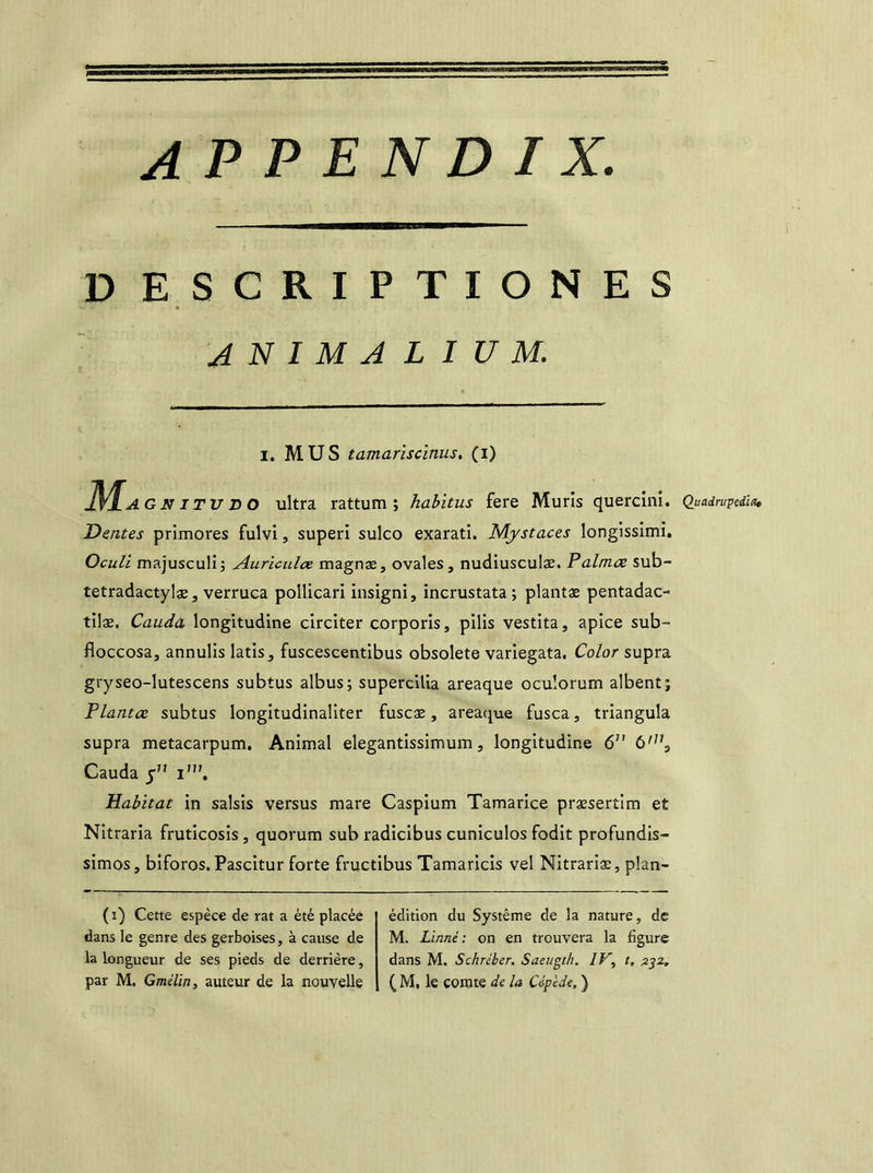 APPENDIX, D ESCRIPTIONES ANIMALIUM. i. MUS tamariscïnus. (i) Ma Gn i TU D O ultra rattum ; habitus fere Mûris quercini. Quadrupla, Dentes primores fulvi, superi sulco exarati. Mystaces longissimi. Oculi majusculi; Auriculœ magnæ, ovales, nudiusculæ. Palmœ sub- tetradactylæ, verruca pollicari insigni, incrustata ; plantæ pentadac- tilæ. Cauda longitudine circiter corporis, pilis vestita, apice sub- fioccosa, annulis latis, fuscescentibus obsolète variegata. Color supra gryseo-lutescens subtus albus; supercilia areaque oculorum albent; Plantœ subtus longitudinaliter fuscæ, areaque fusca, triangula supra metacarpum. Animal elegantissimum, longitudine 6 6',?s Cauda y” i”'. Habitat in saisis versus mare Caspium Tamarice præsertim et Nitraria fruticosis, quorum sub radicibus cuniculos fodit profundis- simos, biforos. Pascitur forte fructibus Tamaricis vel Nitrariæ, plan- (i) Cette espèce de rat a été placée dans le genre des gerboises, à cause de la longueur de ses pieds de derrière, par M. Gmélin, auteur de la nouvelle édition du Système de la nature, de M. Linné: on en trouvera la figure dans M. Schréber. Saeugth. IV, t, 232, ( M, le comte de la Cépède. )