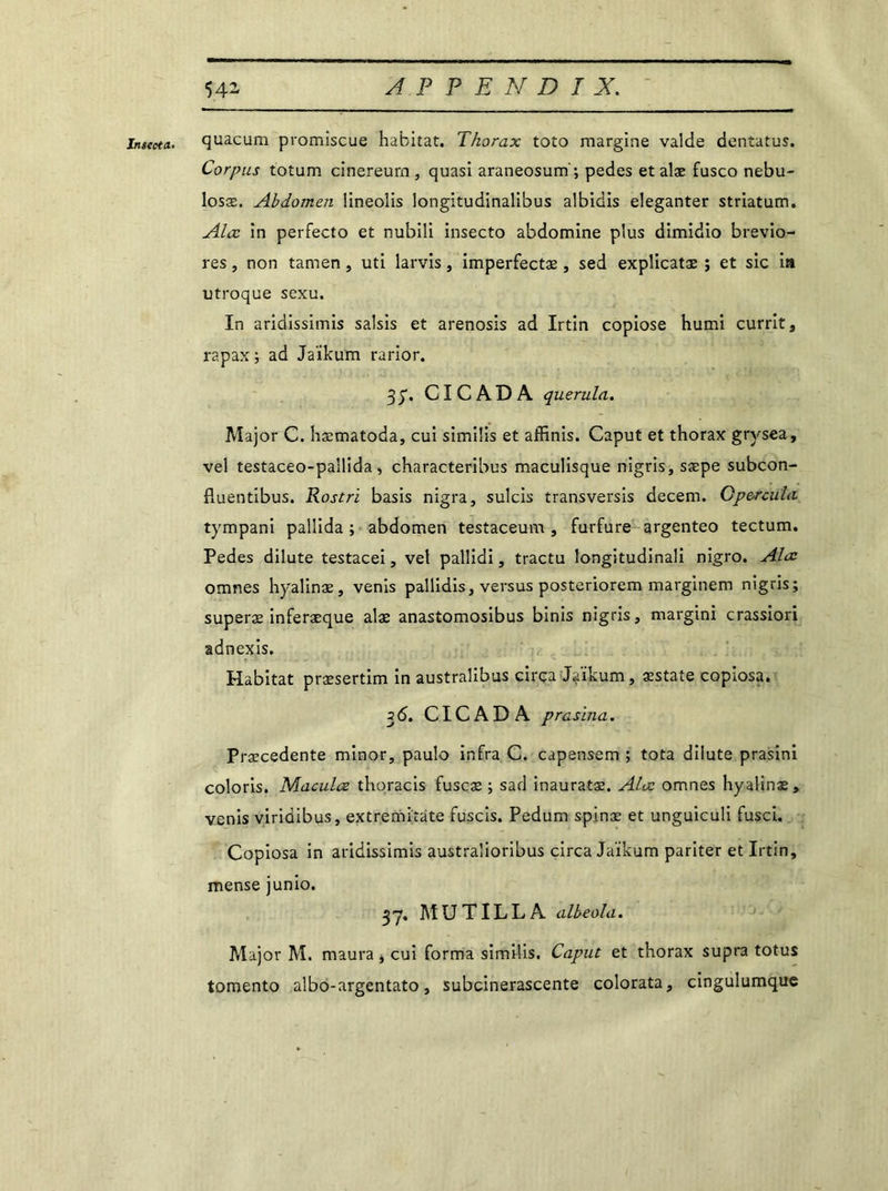 Insccta. quacum promiscue habitat. Thorax toto margine valde dentatus. Corpus totum cinereum, quasi araneosum'; pedes etalæ fusco nebu- losæ. Abdomen iineolis Iongitudinalibus albiciis eleganter striatum. Alæ in perfecto et nubili insecto abdomine plus dimidio brevio- res, non tarnen , uti larvis, imperfectæ , sed explicatæ ; et sic ia utroque sexu. In aridissimis saisis et arenosis ad Irtin copiose humi currit, rapax ; ad Jaïkum rarior. 3y. CICADA querula. Major C. hæmatoda, cui similis et affinis. Caput et thorax grvsea, vel testaceo-pallida , characteribus maculisque nigris, sæpe subcon- fluentibus. Rostrï basis nigra, sulcis transversis decem. Gpe-rcula tympani pallida ; abdomen testaceum , furfure argenteo tectum. Pedes dilute testacei, vel pallidi, tractu longitudinali nigro. Alæ omnes hyalinæ, venis pallidis, versus posteriorem marginem nigris; superæ inferæque alæ anastomosibus binis nigris, margini crassiori adnexis. Habitat præsertim in australibus cirça Jaïkum, æstate copiosa. 3<5. CICADA prasina. Præcedente minor, paulo infra C. capensem ; tota dilute prasini coloris. Maculez thoracis fuscæ ; sad inauratæ. Alæ omnes hyalinæ, venis viridibus, extremitate fuscis. Pedum spinæ et unguiculi fusci. Copiosa in aridissimis australioribus circa Jaïkum pariter et Irtin, mense junio. 37. MUTILLA albeola. Major M. maura , cui forma similis. Caput et thorax supra totus tomento albo-argentato, subcinerascente colorata, cingulumque