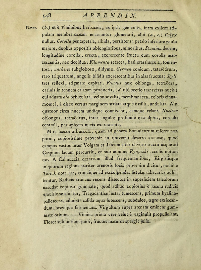 Planta, (b.) et è viminibus herbaceis, ex ipsis geniculis, intra exilent sti- pulant membranaceam enascuntur glomerati, aîbi (a, c.) Calyx nullus. Corolle, pentapetala, albida, persistens; petalo inferiore paulo majore, duobus oppositis oblongioribus,minoribus. Stamina decem, longitudine corollæ, erecta, excrescente fructu cura corolla mar- cescentia, nec decidua : Filamenta setacea, basi crassiuscula, tomen- tosa; antherœ subglobosæ, didymæ. Germen conicum, tetraëdrum, raro triquetrum, angulis bifidis excrescentibus in alasfructus; Stylt très reflexi, stigmate capitati. Fructus nux oblonga, tetraëdra, carinis in tenuem cristam praductis, (d. ubi sectio transversa nucis) eui adnata ala orbiculata, vel subovalis, membranacea, coloris cinna- momei, à disco versus marginem striata atque fissilis, undulata. Alae quatuor circa nucem undique connivent, eamque celant. Nucléus oblongus, tetraëdrus, inter angulos profunde exsculptus, corculo centrali, per apicem nucis excrescente. Mira hæcce arbuscula, quam ad généra Botanicorum referre non potui, copiosissime provenit in universo deserto arenoso, quod campos vastos inter Volgam et Jaïcum sitos clivoso tractu usque ad Caspium lacum percurrit, et sub nornine Fynpeski accolis notum est. A Calmuccis desertum illud frequentantibus, Kirgisiisque in quorum regione pariter arenosis locis provenire dicitur, nomine Torlok nota est, truncique ad exsculpendas fistulas tabacarias adhi- bentur. Radicis truncus recens dissectus in superficiem taleolorum exsudât copioso gummate , quod adhuc copiosius è rasura radicis emulsione elicitur, Tragacanthæ instar tumescens, primum hyalino- pallescens, admixta calida aqua lutescens, subdulce, aegre exsiccan- dum,brevique fermentans. Virgultum supra arenam eminens gum- mate orbum. — Vimina primo vere velut è vaginulis propullulant, Floret sub initium junii, fructus maturos spargit julio.