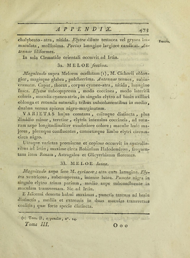 475 clxalybeato - atra, nitida. Elytra dilute testacea yel grysea im- maculata , mollissima. Pectus lanugine largiore candicat. An-* tenncie filiformes. In sola Clematide oriental! occurrit. ad Irtin. 02. M E L O E festivci. IMagnitudo supra Meloem ocellatam (x) , M. Cicliorii oblon- gior, magiscgue glabra , pulcherrima. Antennae tenues, subin- crassatæ. Caput, thorax , corpus cyaneo-atra, nitida, lanugine fnsea. Elytr-a subcompréssa , modo coccinea , modo lateritii coloris , maculis cyaneo atris , in singulo elytro ad basin axillai'i oblouga et rotunda suturali -, tribus subcoliærentibus in medio, duabus versus apicem nigro-marginatum. VA RI ETA S hujus cons tans , coïtucjue distincta , plus dimidio minor , teretior , elytris intensius coccineis , ad sutu- ram sœpe longitudinaliter exsoletiore colore ; maculæ huic ma- jores, pleræque confluentes, connexæcpxe limbo elytri circuui- cirça nigro. Ütraaue variétés promiscue et copiose occurrit in apstrafio- ribus ad Irtin, maxime circa Robiniam Elalodendron , frequen*- tans item Rosain , Astragalos et Glicyrrhizaxn florentes. 33. MELOE lut eu, Mqgnitudo sæpe fere M. syriaccte ; atra cum lanugiue. Ely- tra yentricosa, subcompressa, intense lutea. Puncta nima in singulo elytro trium pariuin, medio sæpe subconfluente in maculam transversam. Sic ad Irtin. E Jaïcensi deserto liabui maximas , punctis tantum ad basin distinctis , mediis et extremis in duas maculas transversas coaiitis -, cjuæ forte specie distincta. (i) Tom, II, appenrfix, n°. zq. Tome IIP O o o Tnsectti,