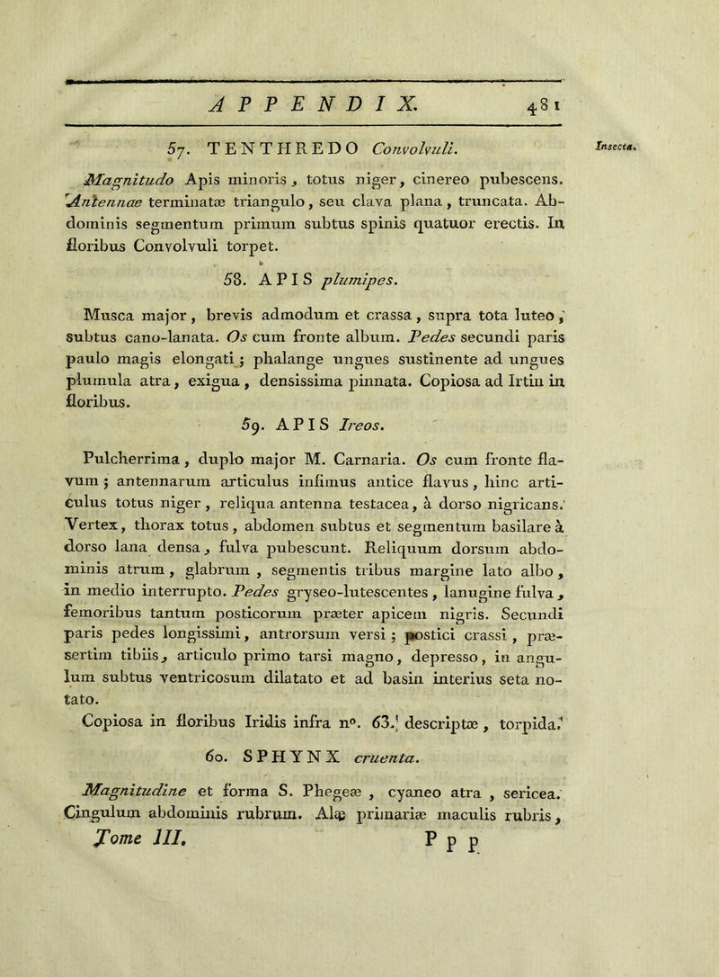 5y. T E N T PI R E D O Convolvuli. Magnitudo Apis minoris totus niger, cinereo pubescens. Anlenncte terminatæ triangulo, seu clava plana, truncata. Ab- dominis segmentum primum subtus spinis quatuor erectis. lu floribus Convolvuli torpet. . * 58. APIS plumipes. Musca major, brevis admodum et crassa , supra tota luteo subtus cano-lanata. Os cum fronte album. Pedes secundi paris paulo magis elongati $ phalange ungues sustinente ad ungues plumula atra, exigua , densissima pinnata. Copiosa ad Irtin in floribus. 59. APIS Ireos. Pulcherrima , duplo major M. Carnaria. Os cum fronte fla- vum j antennarum articulus infimus antice flavus , hinc arti- Culus totus niger, reliqua antenna testacea, à dorso nigricans.' Vertex, thorax totus, abdomen subtus et segmentum basilare à dorso lana densa., fulva pubescunt. Reliquum dorsum abdo- minis atrum , glabrum , segmentis tribus margine lato albo , in medio interrupto. Pedes gryseo-lutescentes , lanugine fulva 3 femoribus tantum posticorum præter apicem nigris. Secundi paris pedes longissimi, antrorsum versi 5 postici crassi , præ- sertim tibiis^ articulo primo tarsi magno, depresso, in angu- lum subtus yentricosum dilatato et ad basin interius seta no- tato. Copiosa in floribus Iridis infra n°. 63,] descriptæ , torpida.' 60. SPHYNX cruenta. Magnitudine et forma S. Phegeæ , cyaneo atra , sericea. Cingulum abdominis rubruin. Al^ prijnariæ maculis rubris,