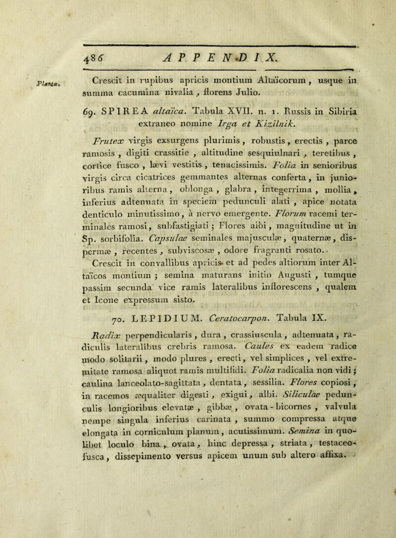 PUnta, Crescit in rupibus apricis montium Altaïcorum , usque in summa cacumina nivalia florens Julio. 69. SP IRE A altaïca. Tabula XVII. n. 1. Russis in Sibiria extraneo nomine Irga et Kizilnik. Frutex virgis exsurgens plurimis , robustis, erectis , parce ramosis , cligiti crassitle , altitucline sesquiulnari teretibus , cortice fusco , lævi vestitis , tenacissimis. Folia in senioribus virgis circa cicatrices gemmantes alternas conferta , in junio- ribus ramis alterna , oblonga , glabra , integerrima , mollia , inferius adtenuata in speciem pedunculi alati , apice notata denticulo minutissimo, à nervo emergente. Florum racemi ter- minales ramosi, subfastigiati 5 Flores aibi, magnitudine ut in Sp. sorlnfolia. Capsulae séminales majusculæ, quaternæ, dis- permæ , recentes subviscosæ , odore fragranti rosato. Crescit in convallibus apricis. et ad pedes altiorum inter Al- taïcos montium j semina maturans initlo Augusti , tunique passim secunda vice ramis lateralibus inflorescens , qualem et Icône expressuin sisto. 70. L E P I D I U M. Cei'atocarpon. Tabula IX. Radix perpendicularis , dura , crassiuscula , adtenuata , ra- diculis lateralibus crebris ramosa. Caules ex eadein radice modo solitarii, modo plures , erecti, vel simplices , vel extre- mitate ramosa aliquot ramis multifidi. Folia radicalia non vidi - caulina lanceolato-sagittata, dentata , sessilia. Flores copiosi, in racemos æqualiter digestif exigui, albi. Siliculae pedun- culis longioribus elevatæ , gibbæ , ovata - bicornes , valvula nempe singula inferius carinata , suinmo compressa atque elongata in corniculum planum, acutissimum. Semina in quo- libet loculo bina r. ovata , bine depressa , striata , testaceo- fusca, dissepimento versus apicem unum sub altero affixa.