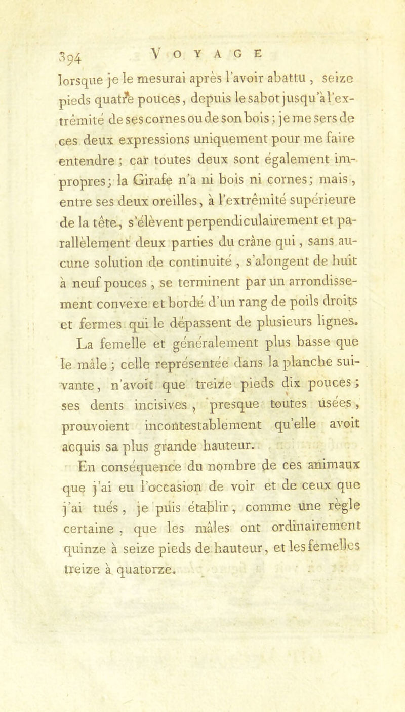 lorsque je le mesurai après l’avoir abattu , seize pieds quat/e pouces, depuis le sabot jusqu’à l’ex- trémité de ses cornes ou de son bois ; je me sers de ces deux expressions uniquement pour me faire entendre ; car toutes deux sont également im- propres; la Girafe n’a ni bois ni cornes; mais, entre ses deux oreilles, à l’extrémité supérieure de la tête, s’élèvent perpendiculairement et pa- rallèlement deux parties du crâne qui, sans au- cune solution de continuité , s’alongent de huit à neuf pouces , se terminent par un arrondisse- ment convexe et bordé d’un rang de poils droits et fermes qui le dépassent de plusieurs lignes. La femelle et généralement plus basse que le mâle ; celle représentée dans la planche sui- vante , n’avoif que treize pieds dix pouces ; ses dents incisives , presque toutes usées, prouvoient incontestablement qu’elle avoit acquis sa plus grande hauteur. En conséquence du nombre de ces animaux que j’ai eu l’occasion de voir et de ceux que j’ai tués , je piiis établir, comme une réglé certaine , que les mâles ont ordinairement quinze à seize pieds de hauteur, et les femelles treize à quatorze.